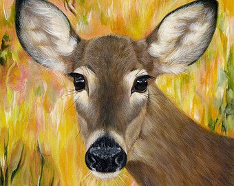 Meet Your Personal Power Animal