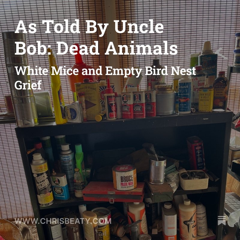 A cluttered black shelf filled with various cans, bottles, and boxes of animal-related products, with a bamboo shade backdrop.