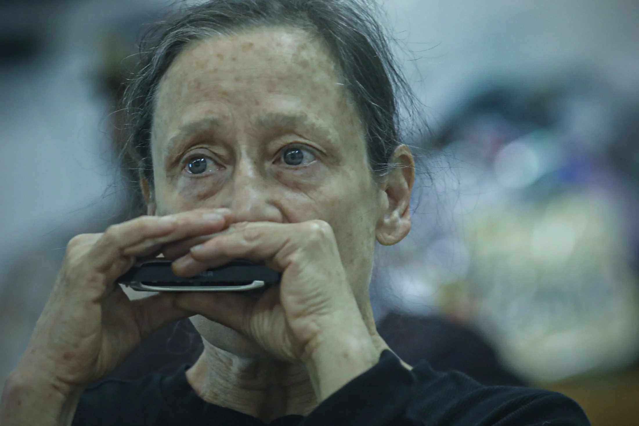 The festival offers harmonica workshop classes every year, along with a harmonica playing contest. 