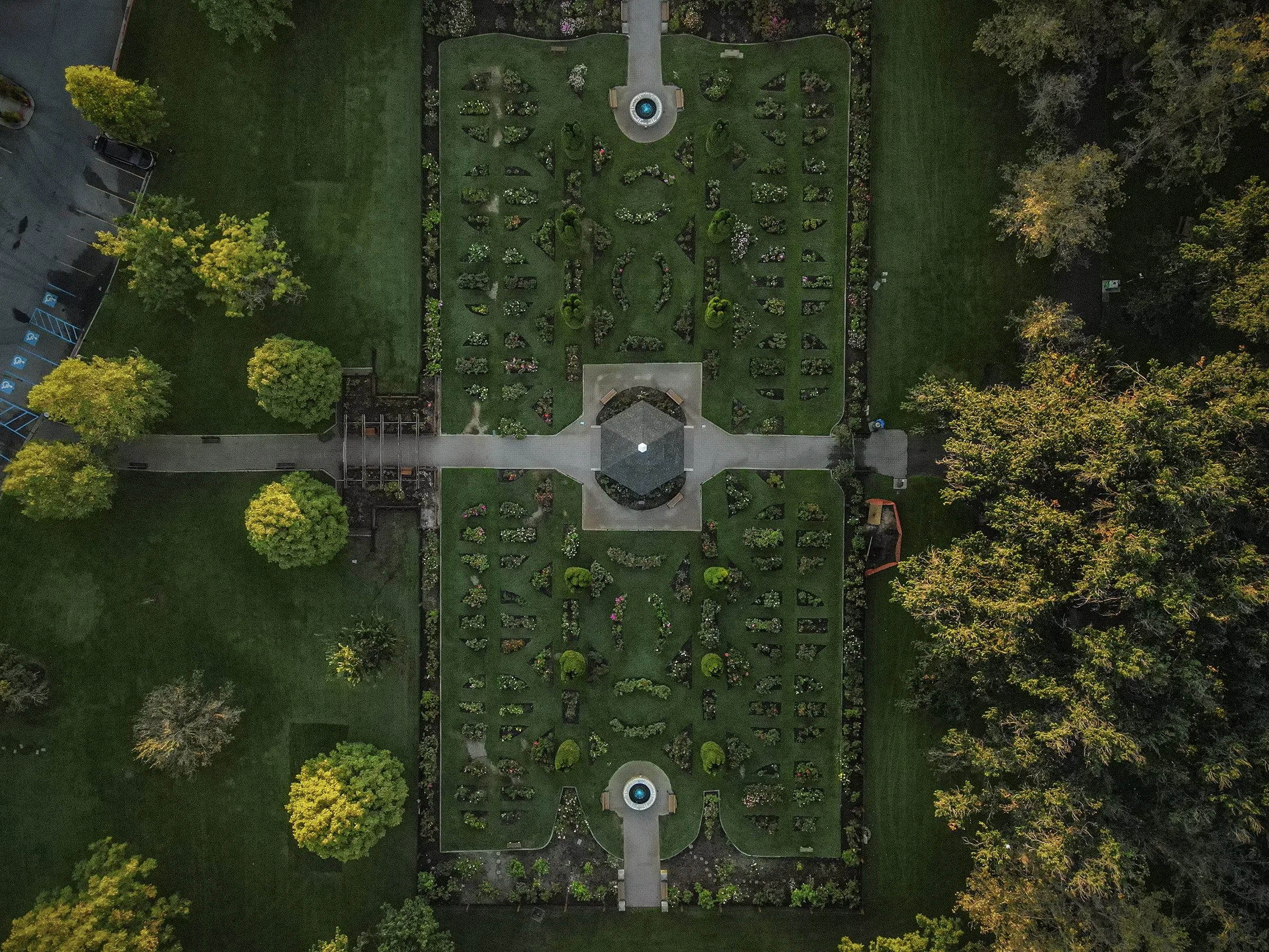 air rose DJI_0337 copy.jpg