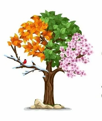 A tree with orange leaves, green leaves, and pink blossoms, with a branch and a small bird perched on it, and rocks at the base.