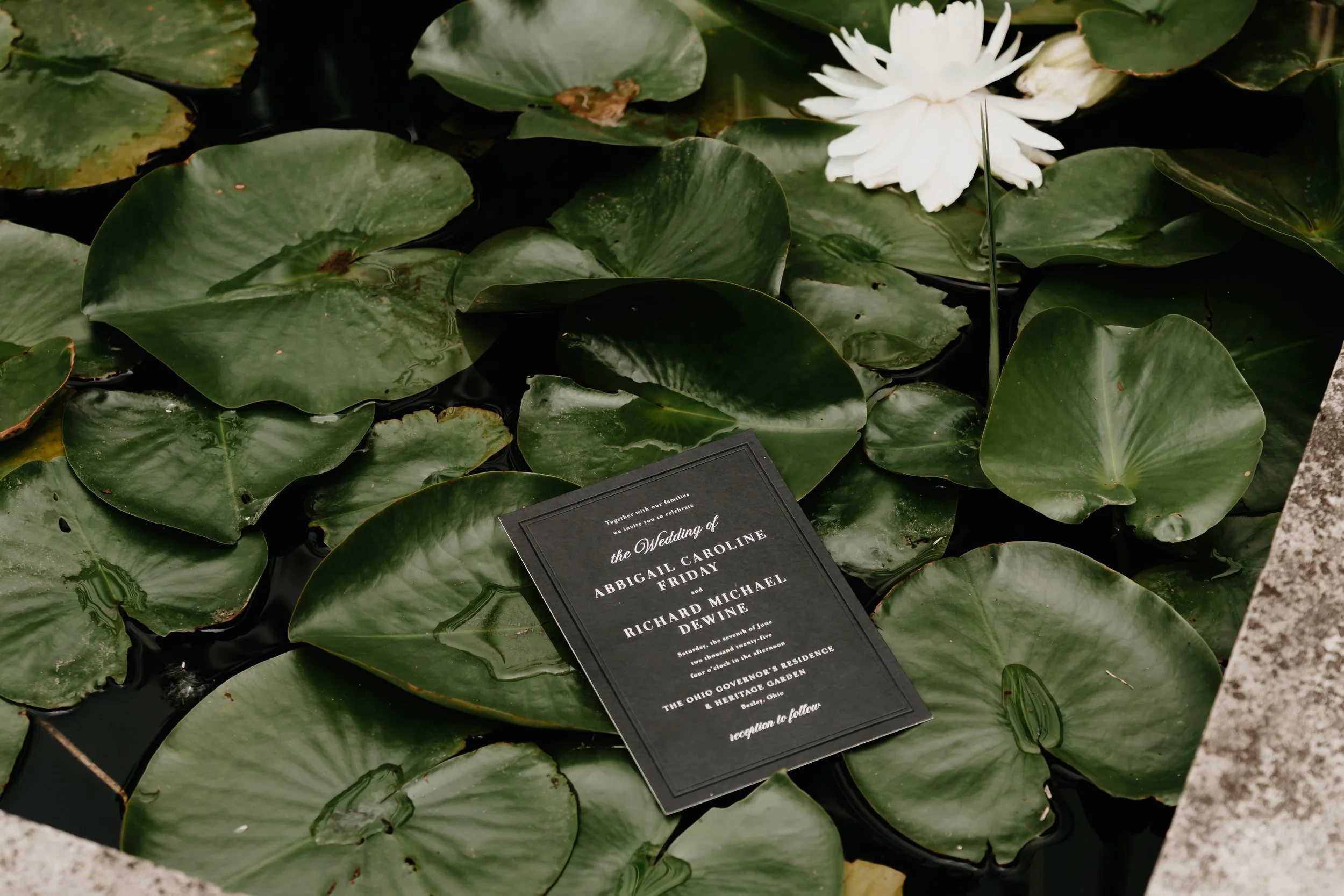 Black wedding invitation displayed among lily pads in the Heritage Garden at Ohio Governor's Residence , photographed by Julia Brown Photo.