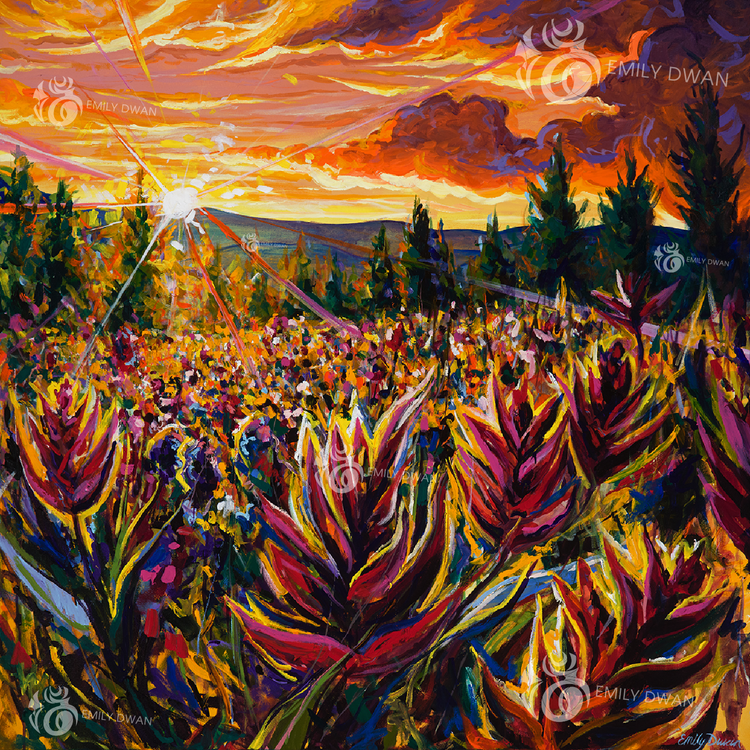 Wildflower Fine Art by Colorado artist Emily Dwan