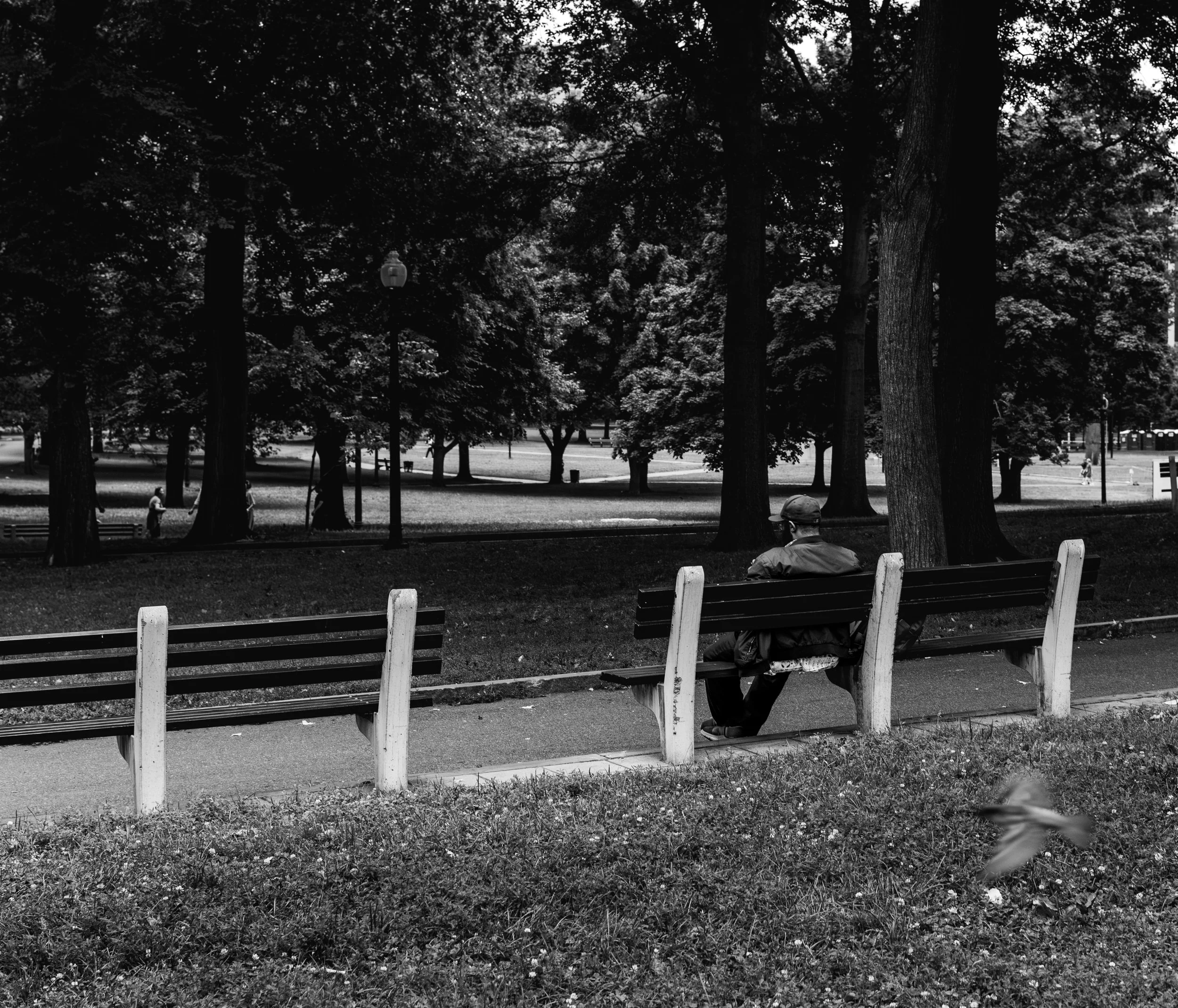 DSC_0260-Enhanced-NR.jpg