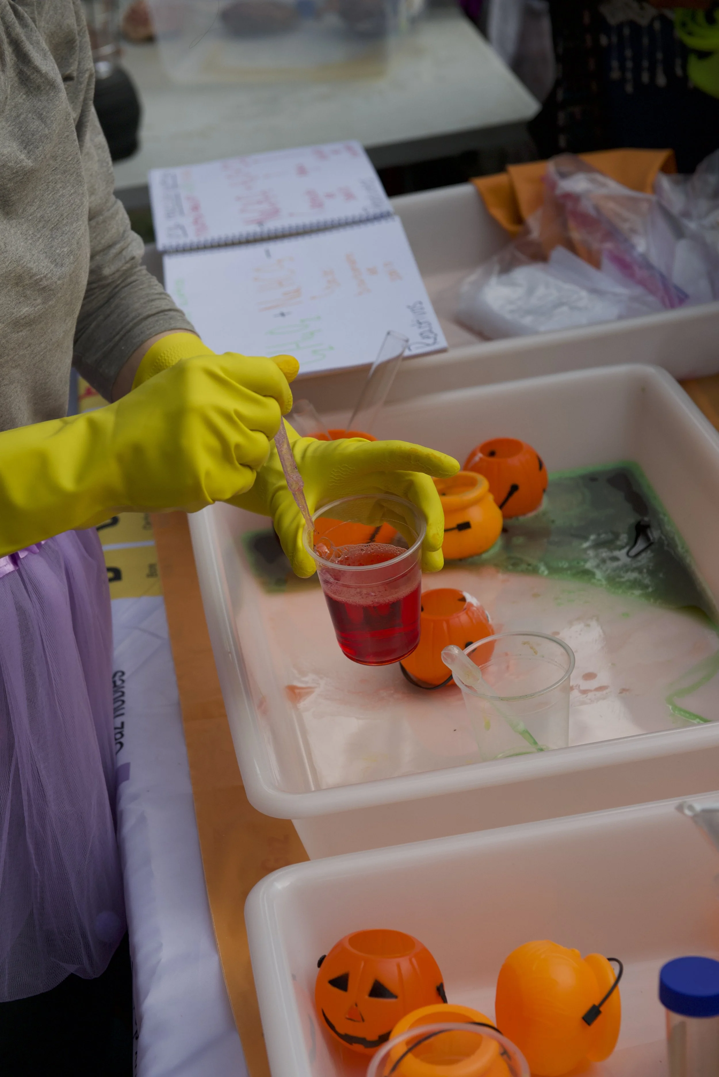 science experiment 3.jpg