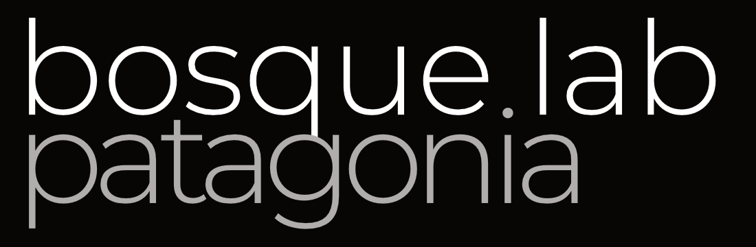 Bosque Lab Patagonia