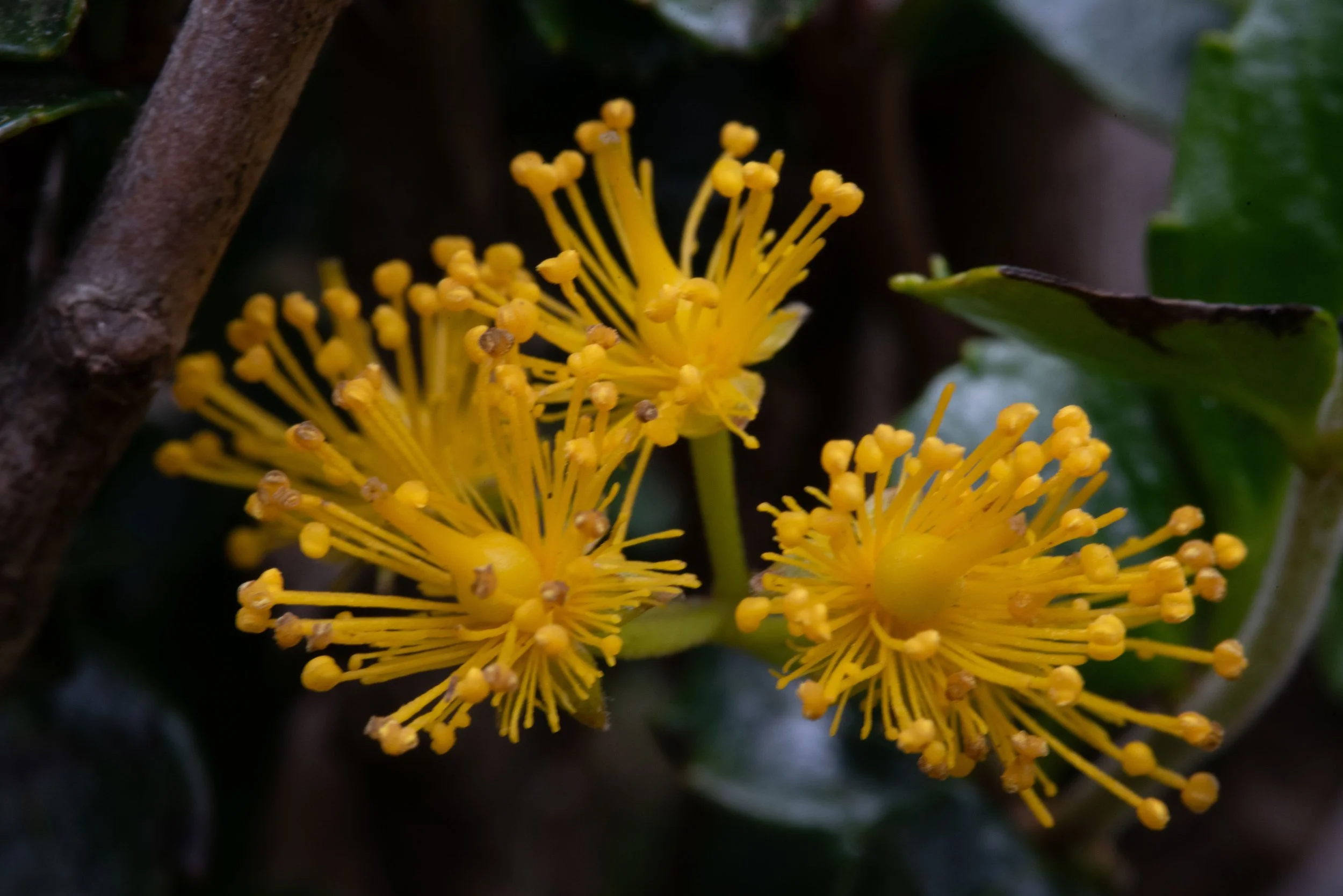 DSC_9304.jpg