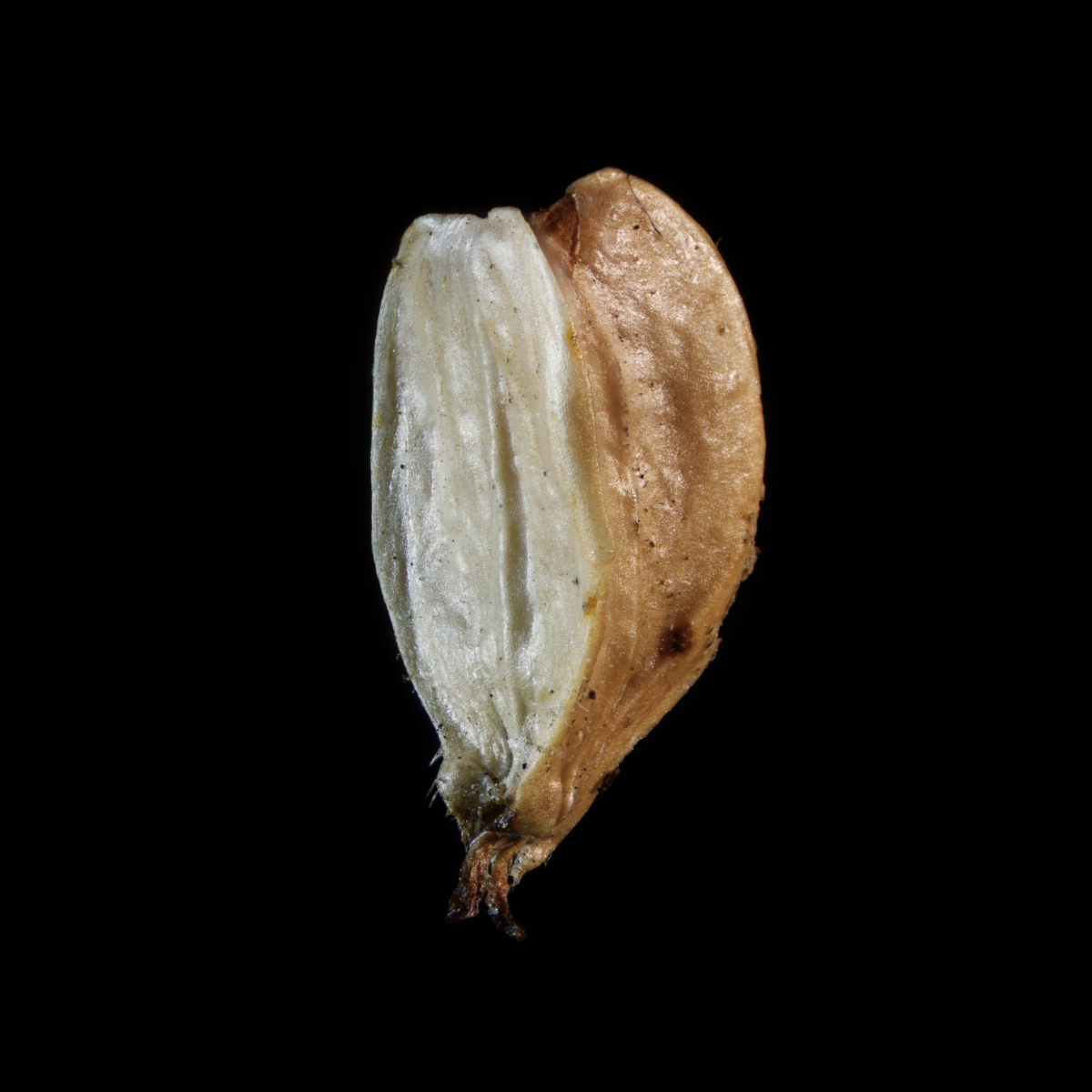 Screenshot 2025-07-17 at 6.26.20 PM.png