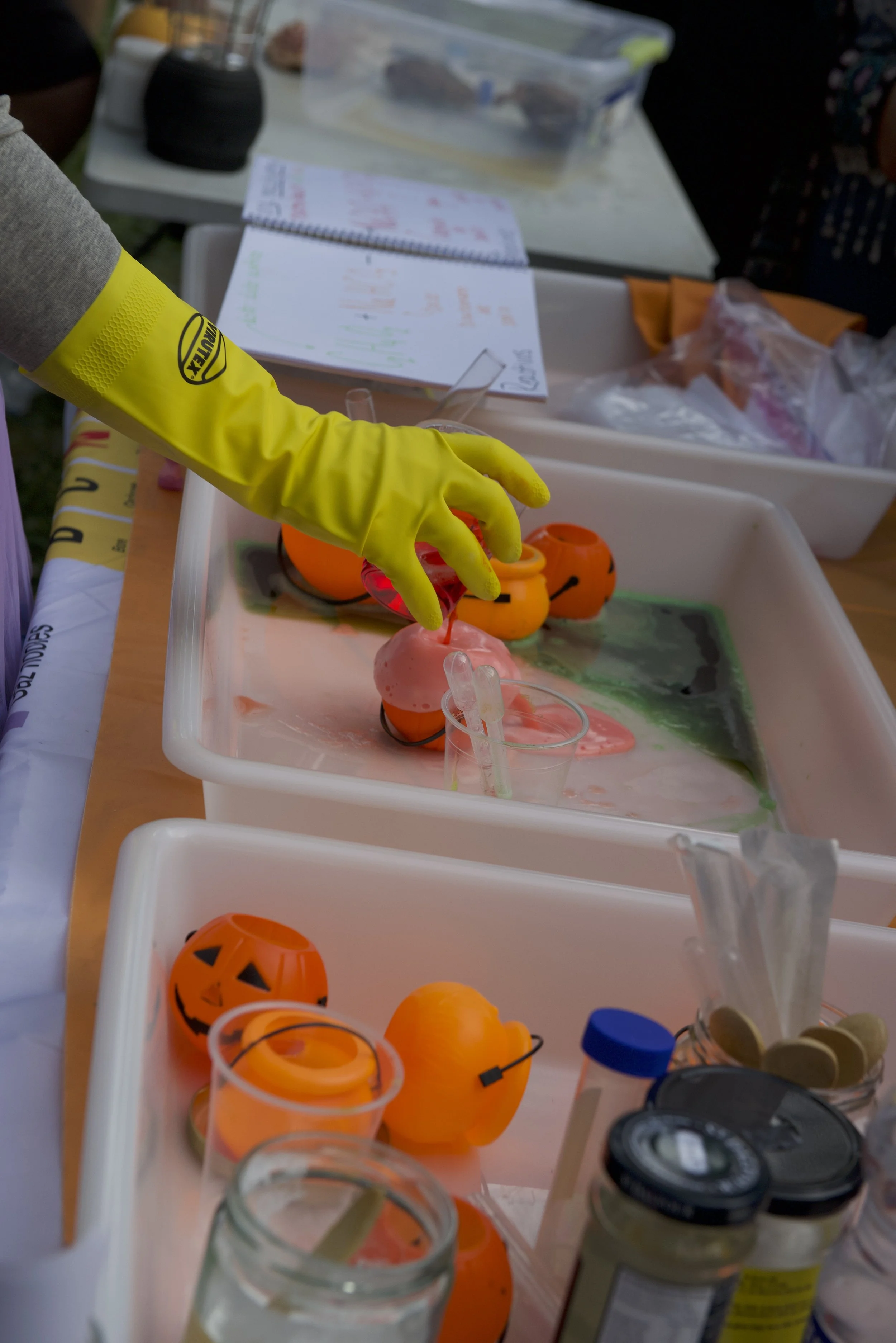 science experiment 2.jpg