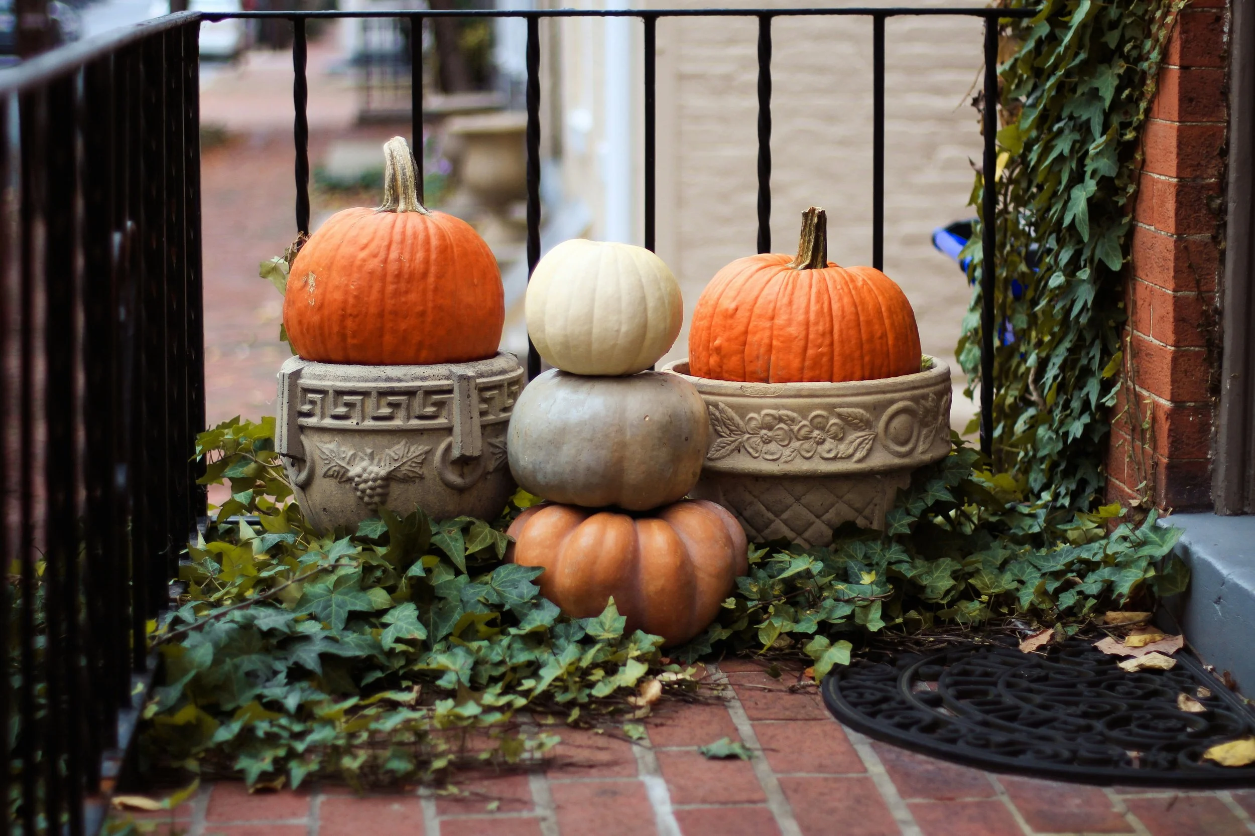 Pumpkins of various sizes and colors arranged on outdoor planters and surrounded by ivy on a brick porch.