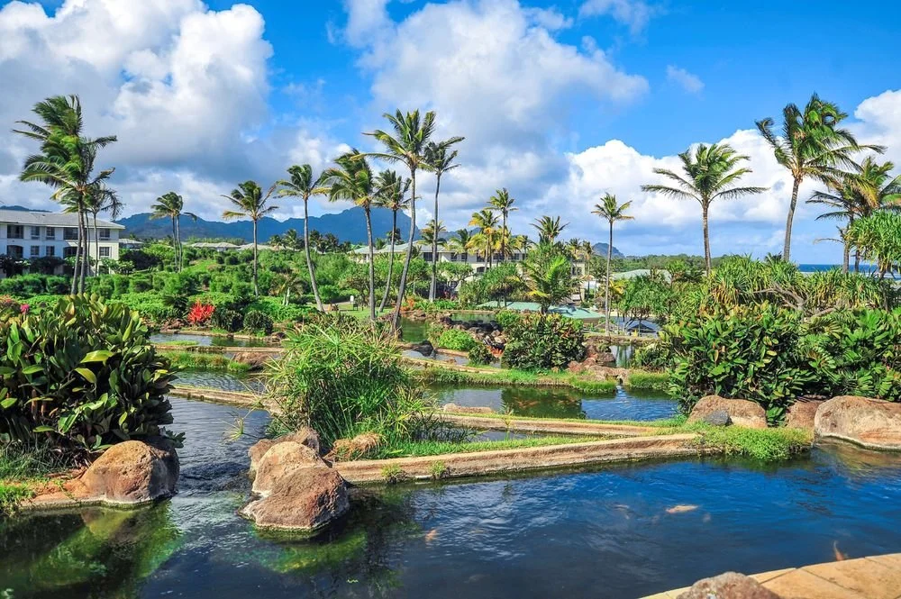hawaii6.jpg