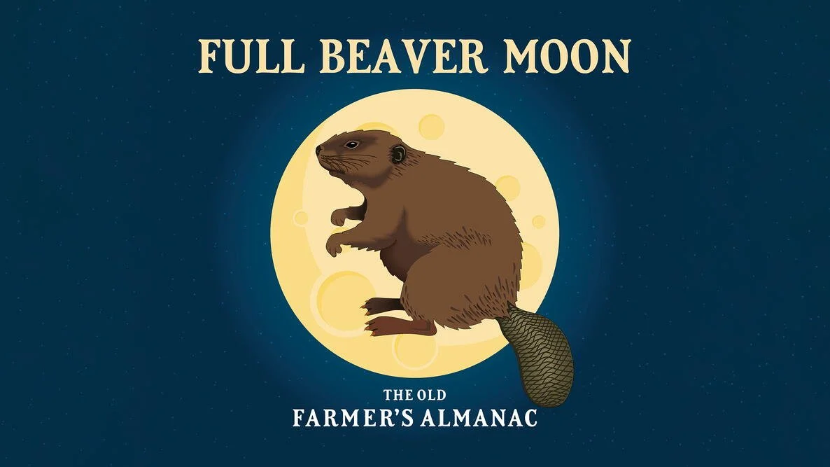 November’s Beaver Moon