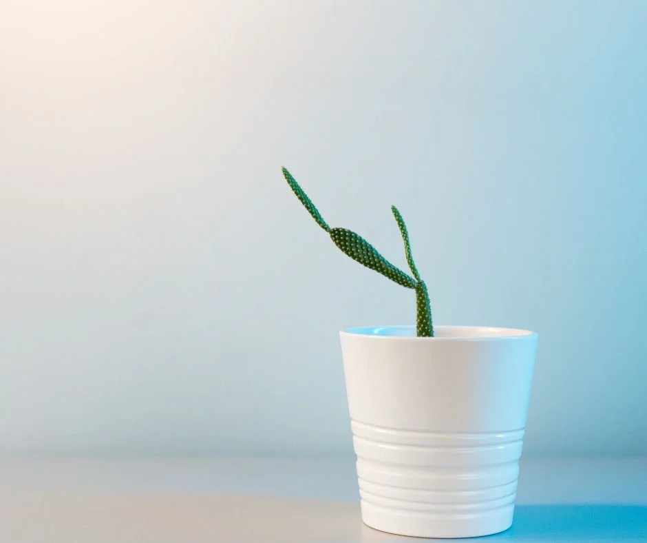 In Later Life, Simplicity Is Not About Having Less — It's About Hearing More