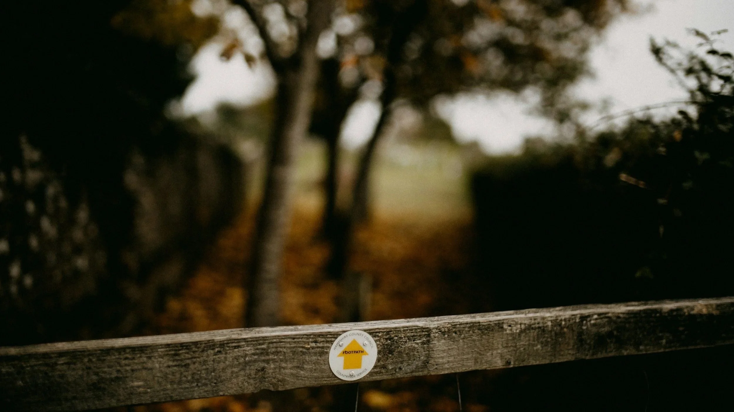 What Happens When We Grow Older in a Youth-Obsessed World