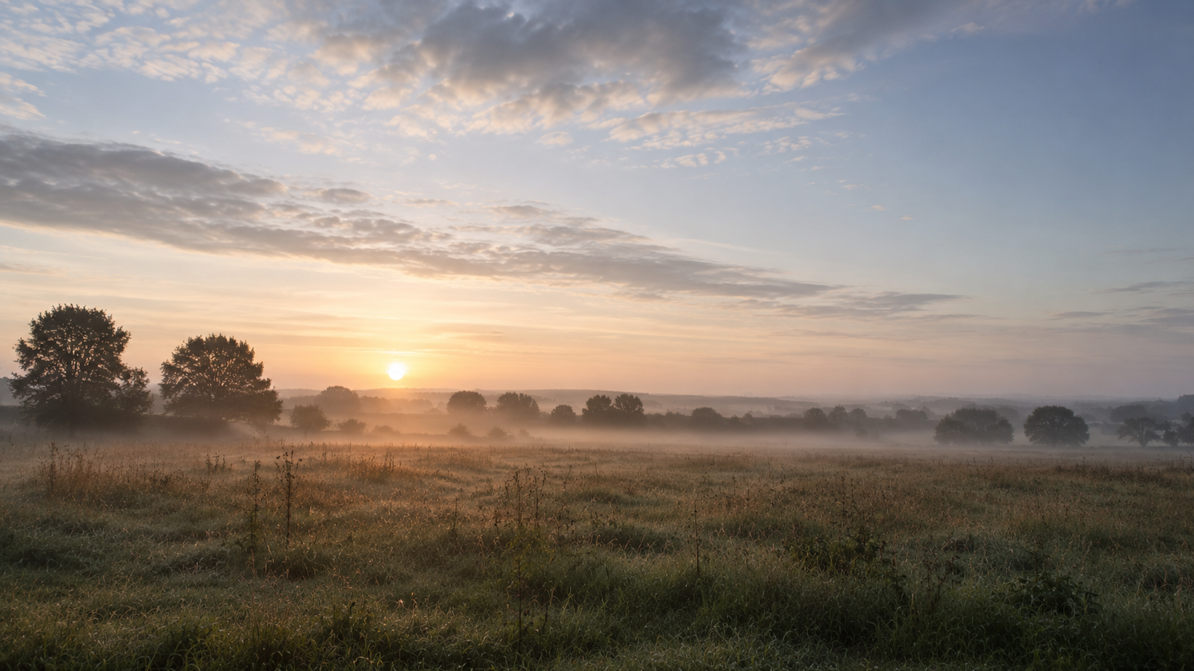 Mist lying over an open field at sunrise, the sky pale and low light spreading across the grass.