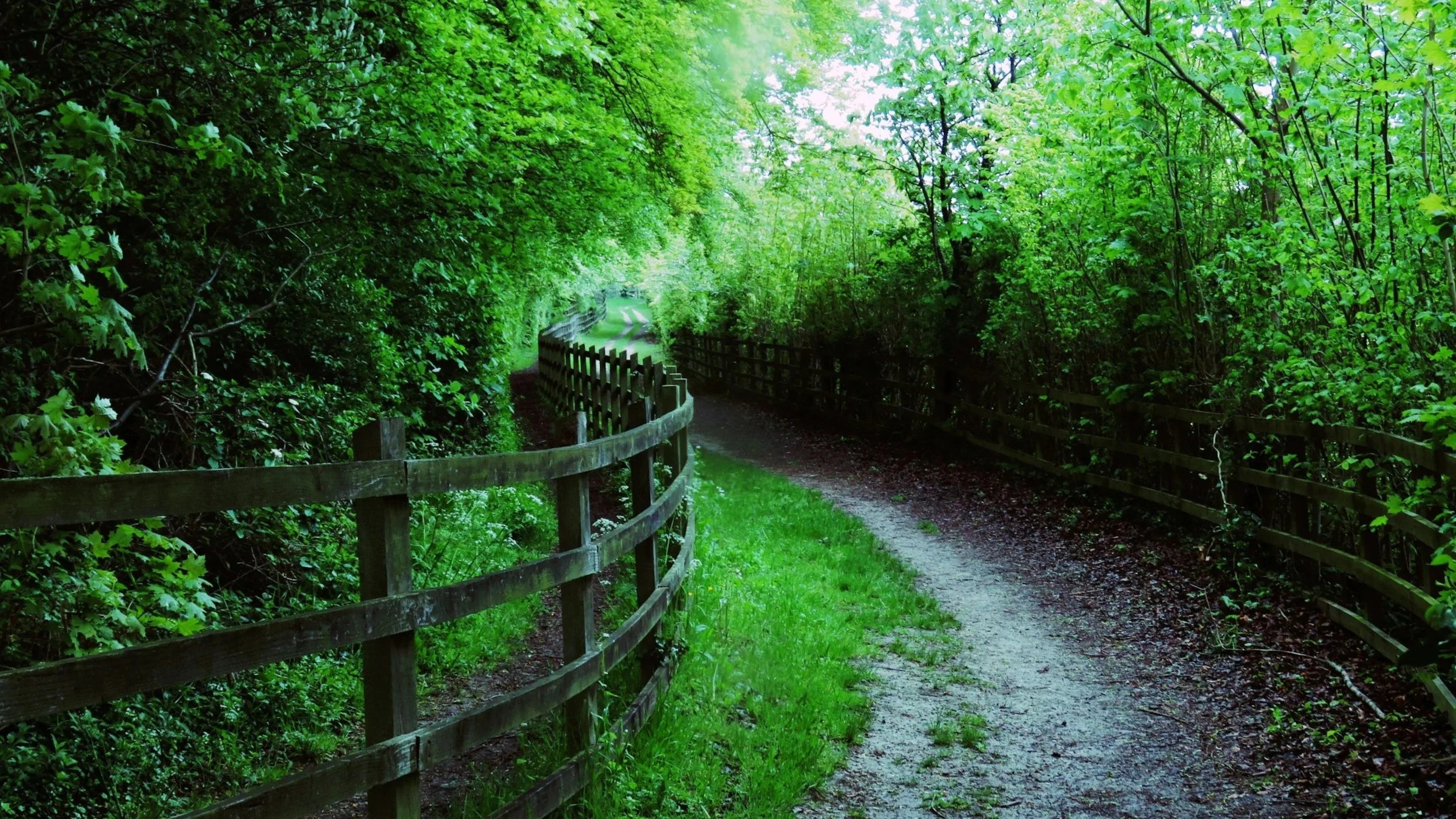 A path bending out of sight, on how our calling changes shape after 50