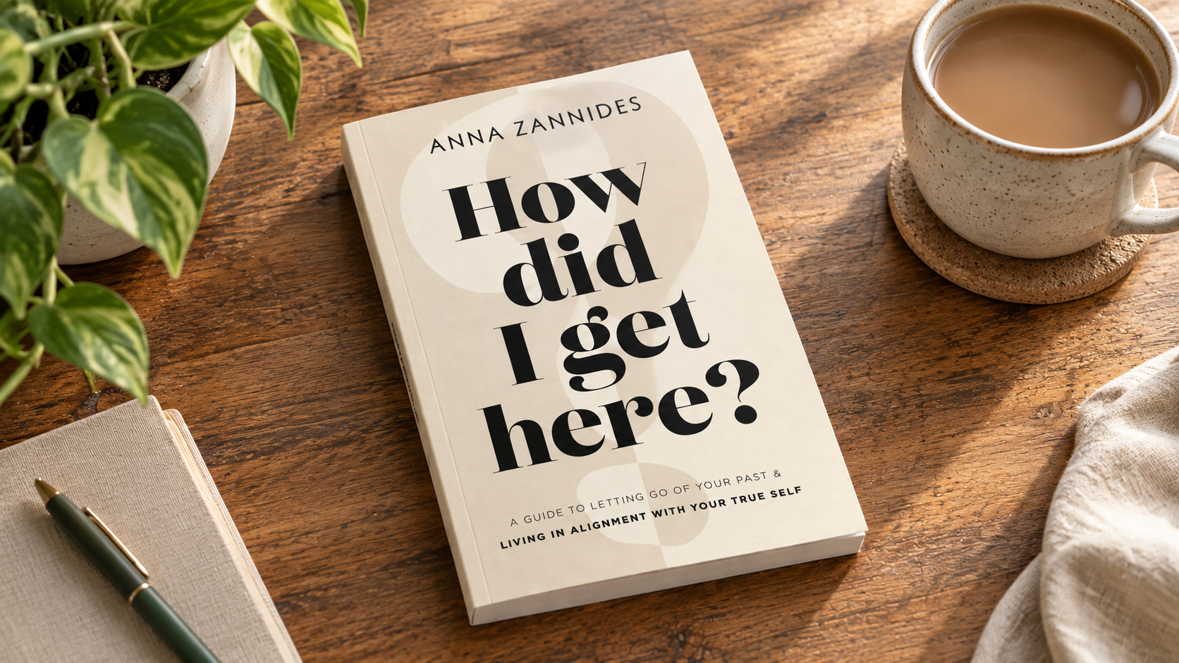 How did I get here? book by Anna Zannides