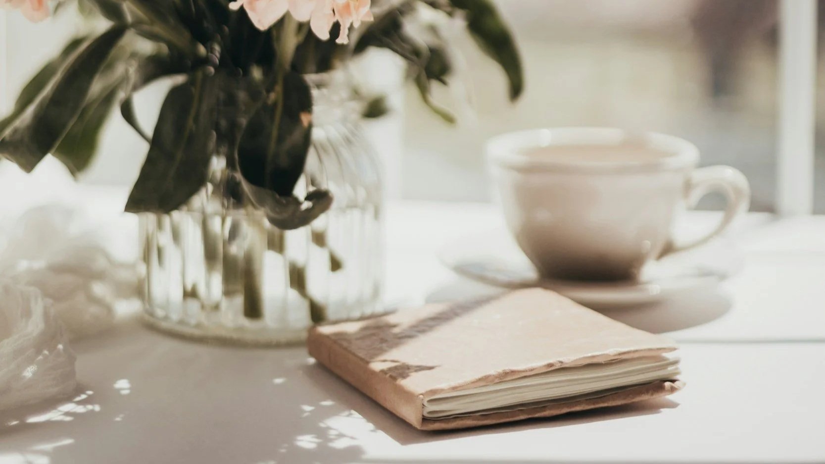 How to Overcome Loneliness After 50: A Guide to Building Connections