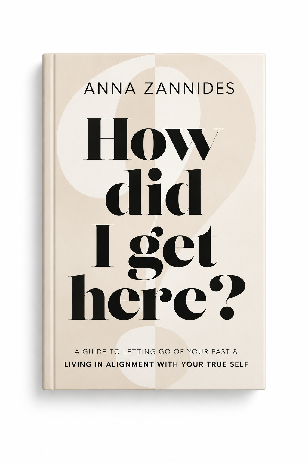 How did I get here? book cover