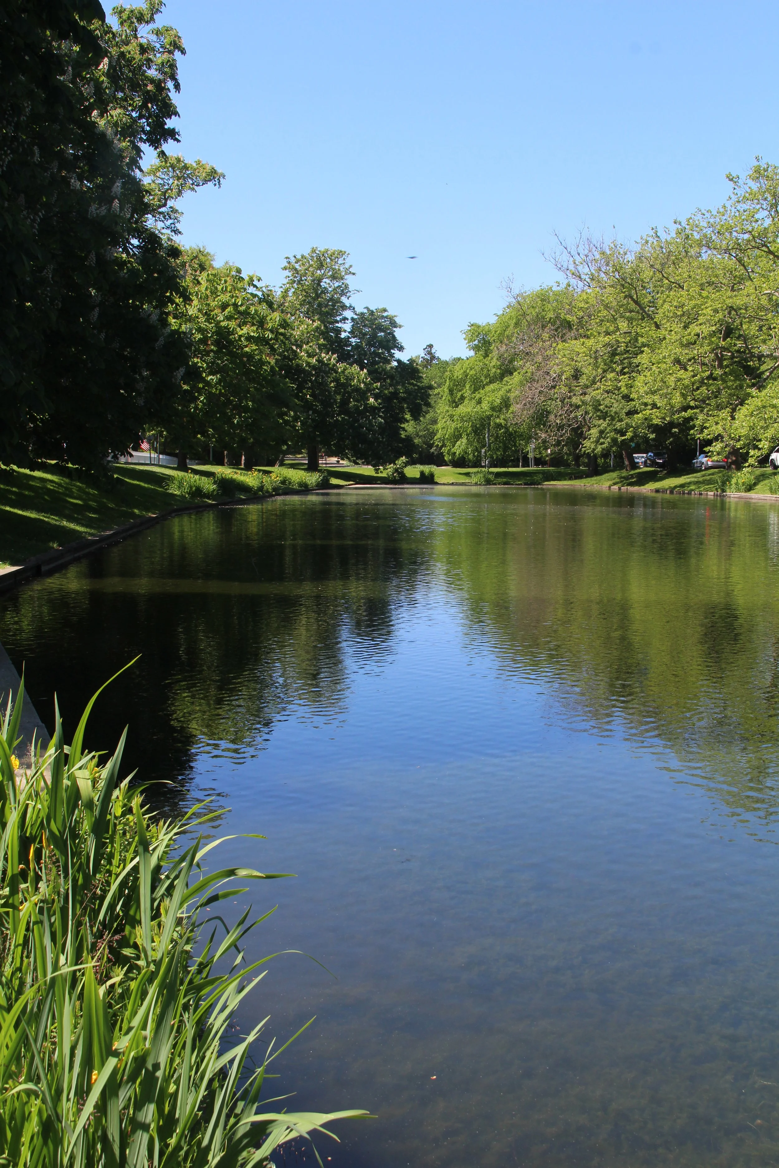 A peaceful scene of a small river or pond surrounded by green trees under a clear blue sky.