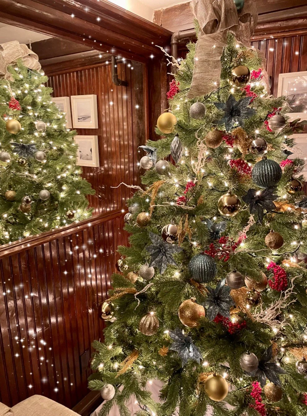 LVIS Holiday Party 2023 (members and employees only)