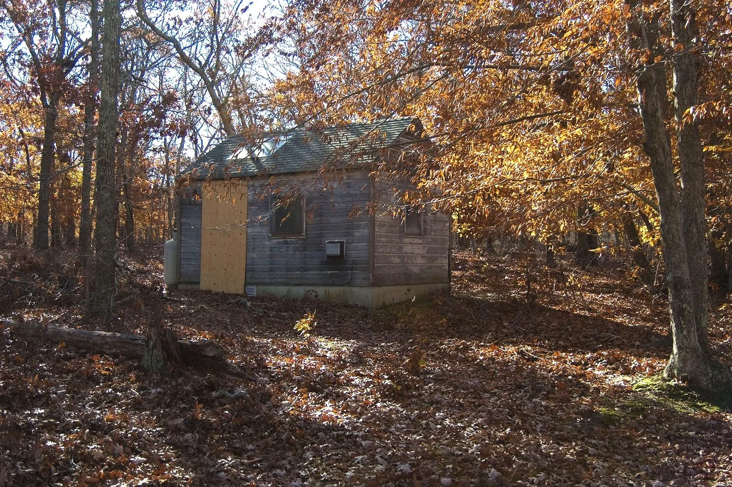 Charlotte Park Studio