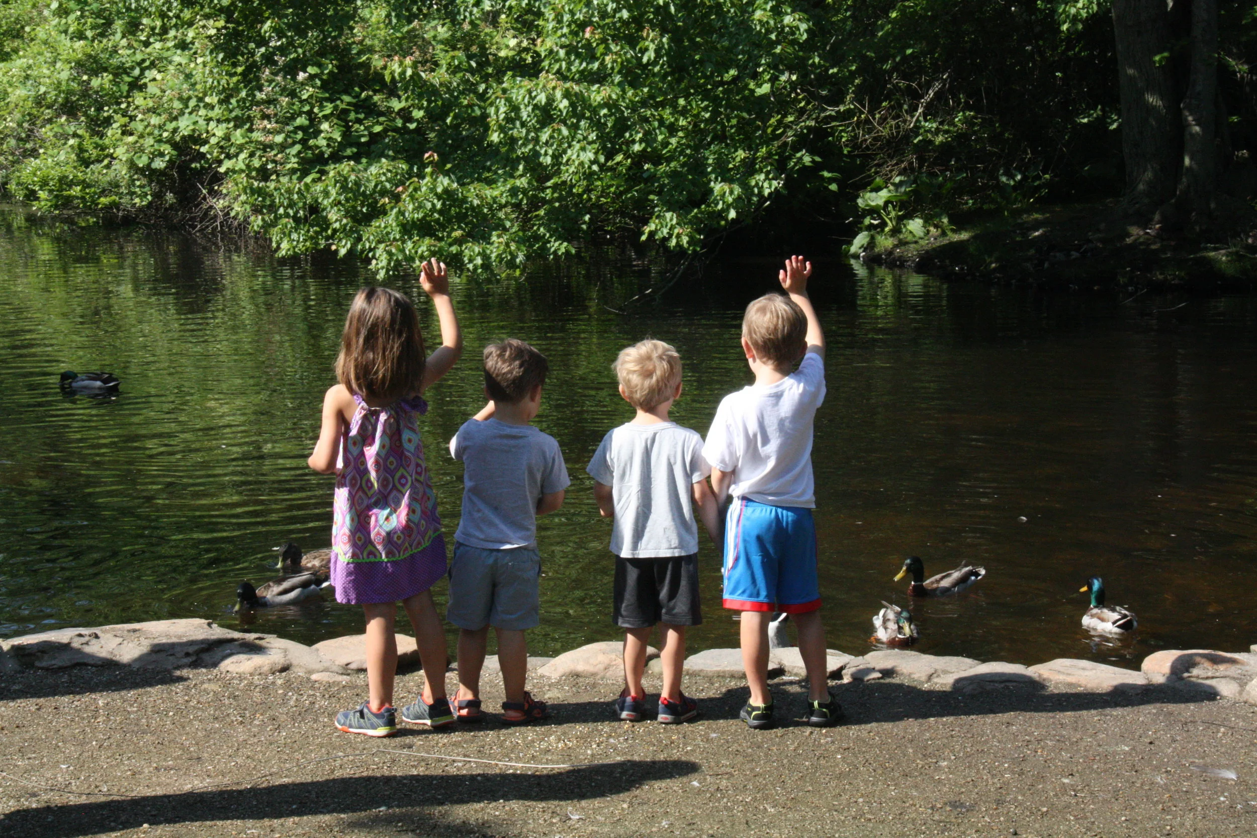 Four children standing at the edge of a pond, feeding ducks and geese, surrounded by green trees.