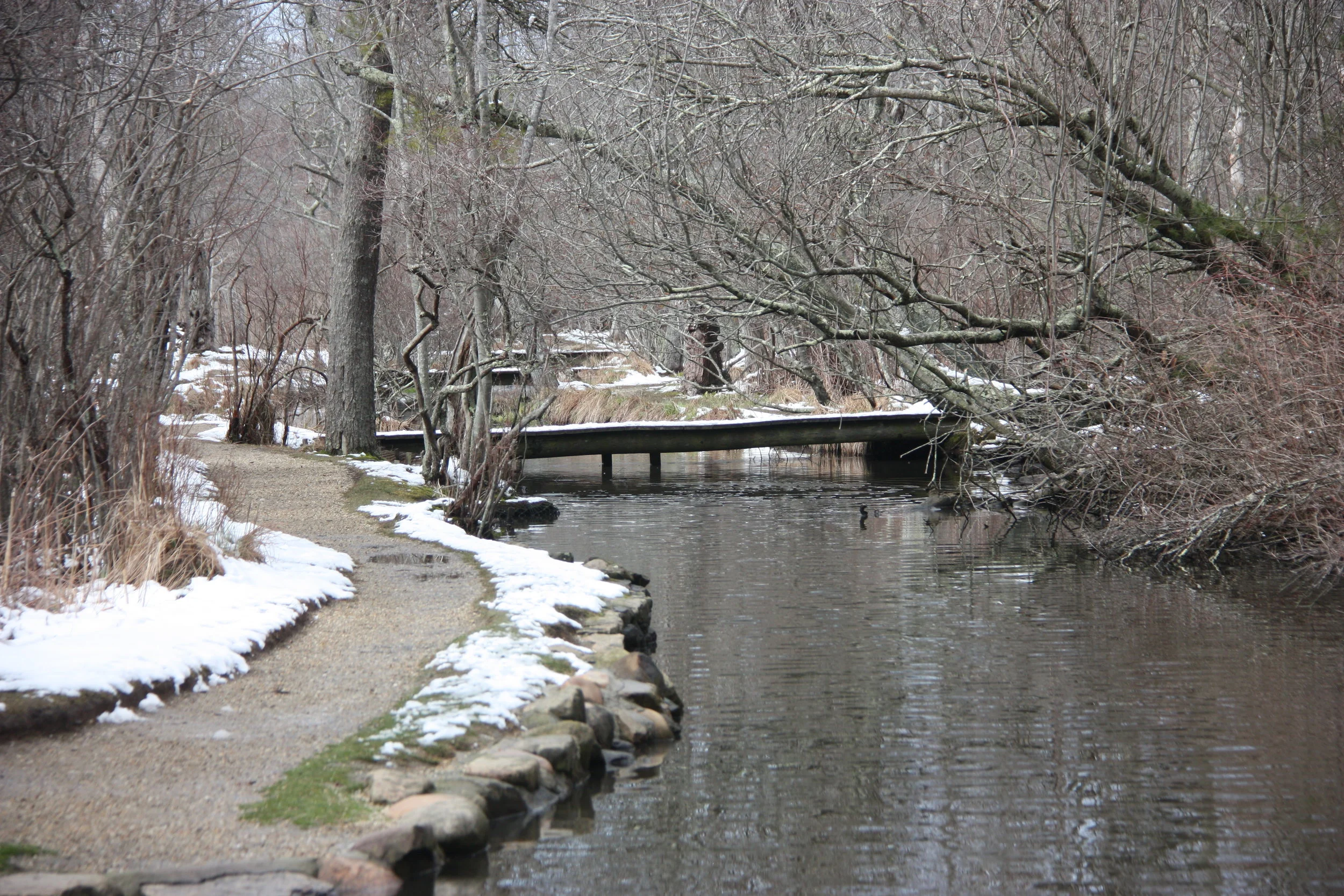 A tranquil scene of a narrow path running alongside a river in a wooded area during winter, with leafless trees, patches of snow, and a small wooden bridge crossing the river.
