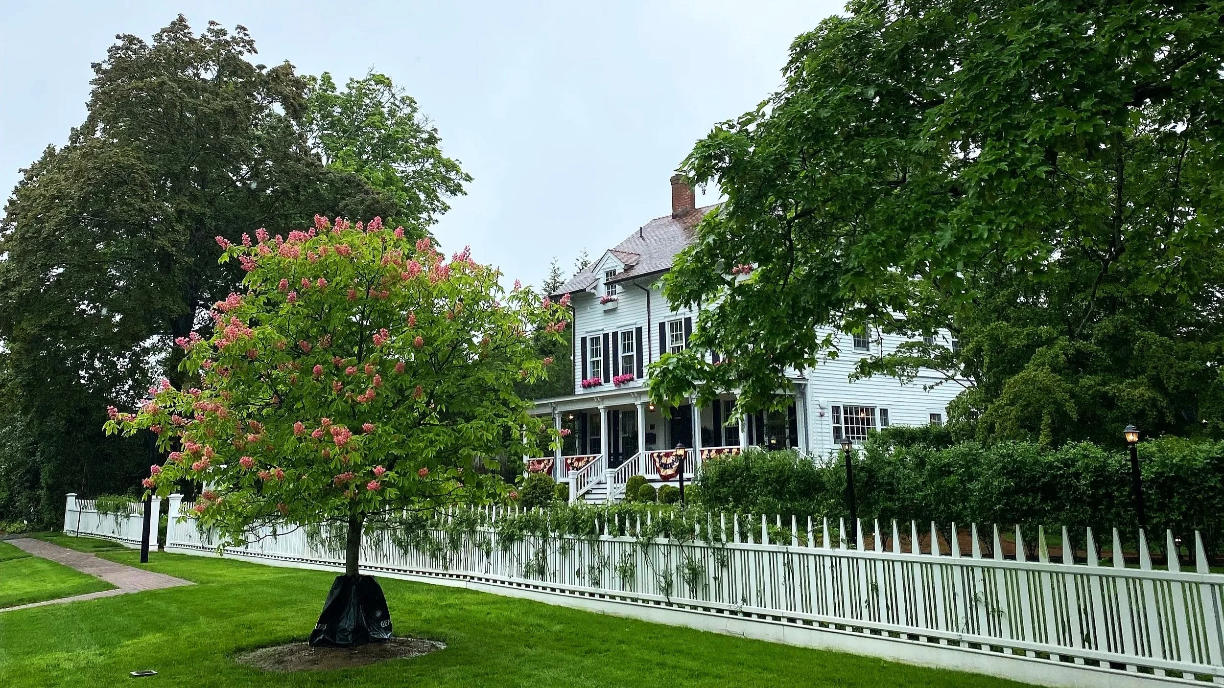 A white house with a porch and black shutters surrounded by green trees and a white picket fence. There are pink flowers on the porch and a pink flowering tree nearby. The yard is well-kept with green grass.
