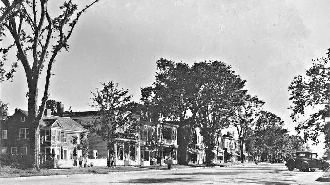 Black and white photo of a street lined with trees and historic buildings, with a few people walking and vintage cars parked along the curb.