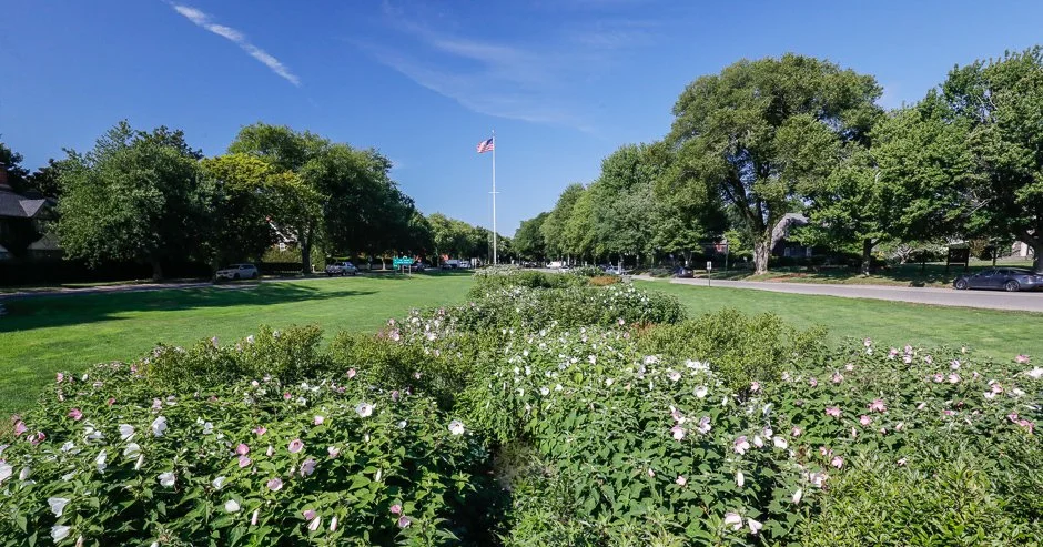 East Hampton Village Greens Bio Swale- photo credit Jeff Heatley - AAQ