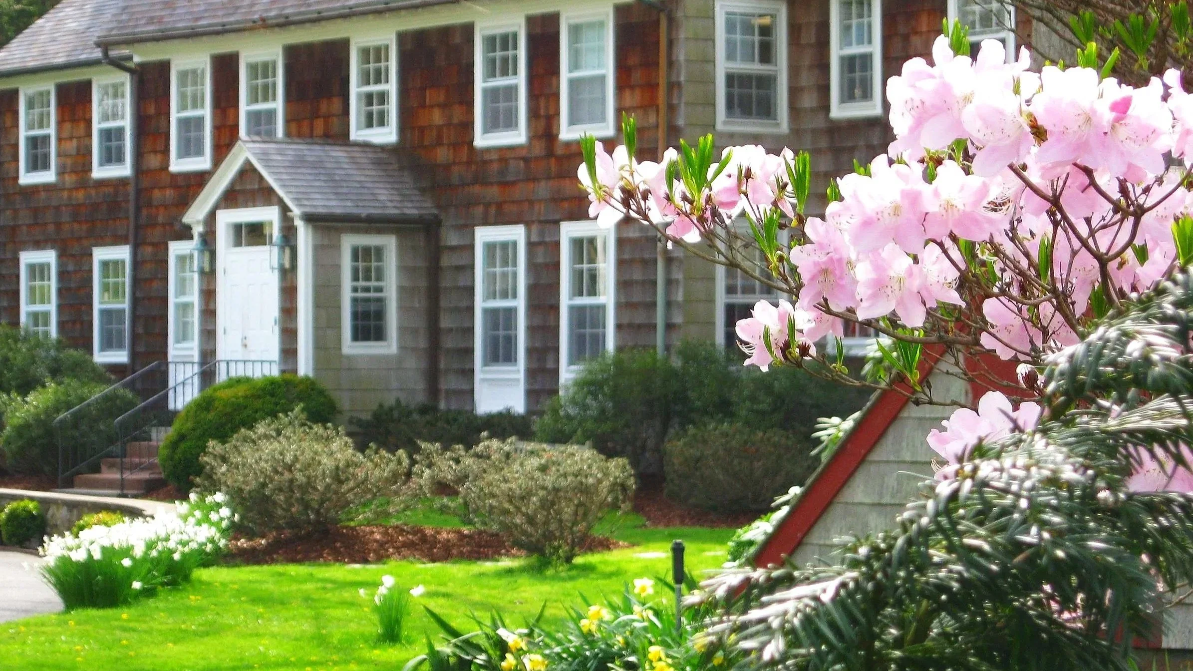 Pink flowering shrub in front of a multi-story house with shingle siding and multiple windows