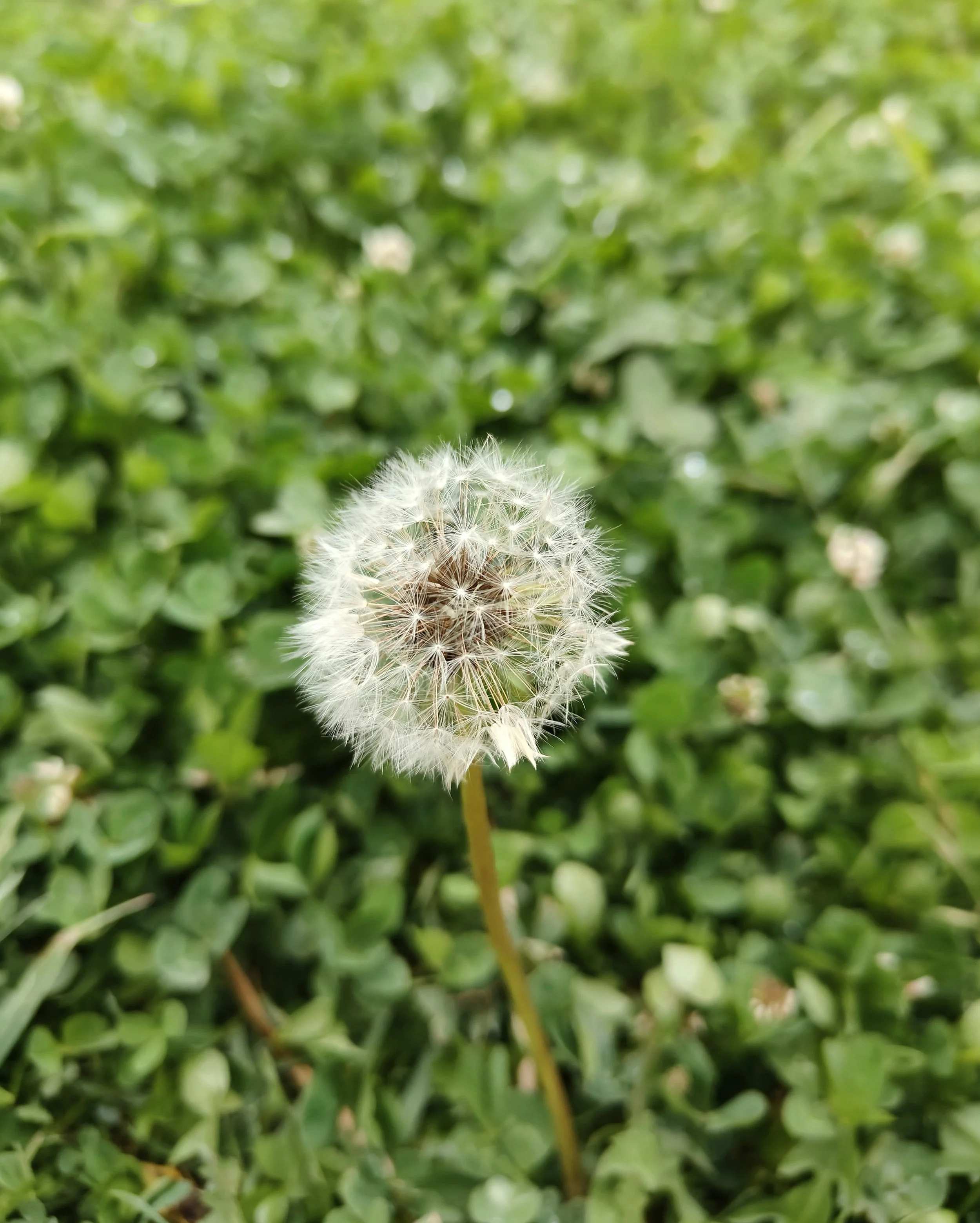 Sesión introductoria de mindfulness para equipos