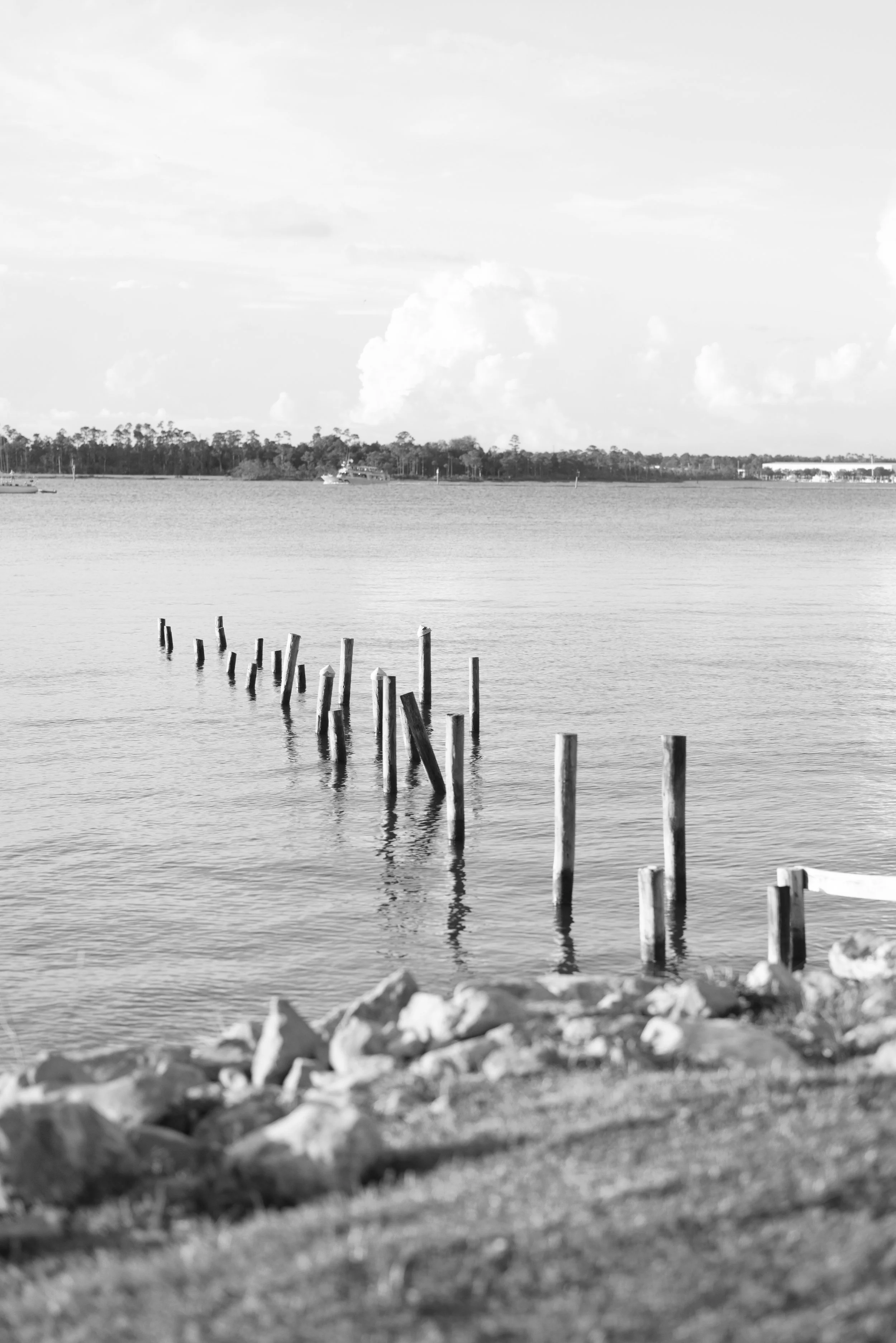 OB Coastal Arts Center_pvcobia00-18.jpg