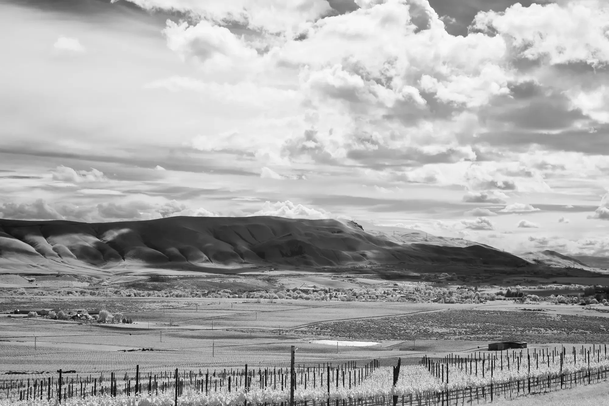 Columbia_Basin_Wine_Country.webp