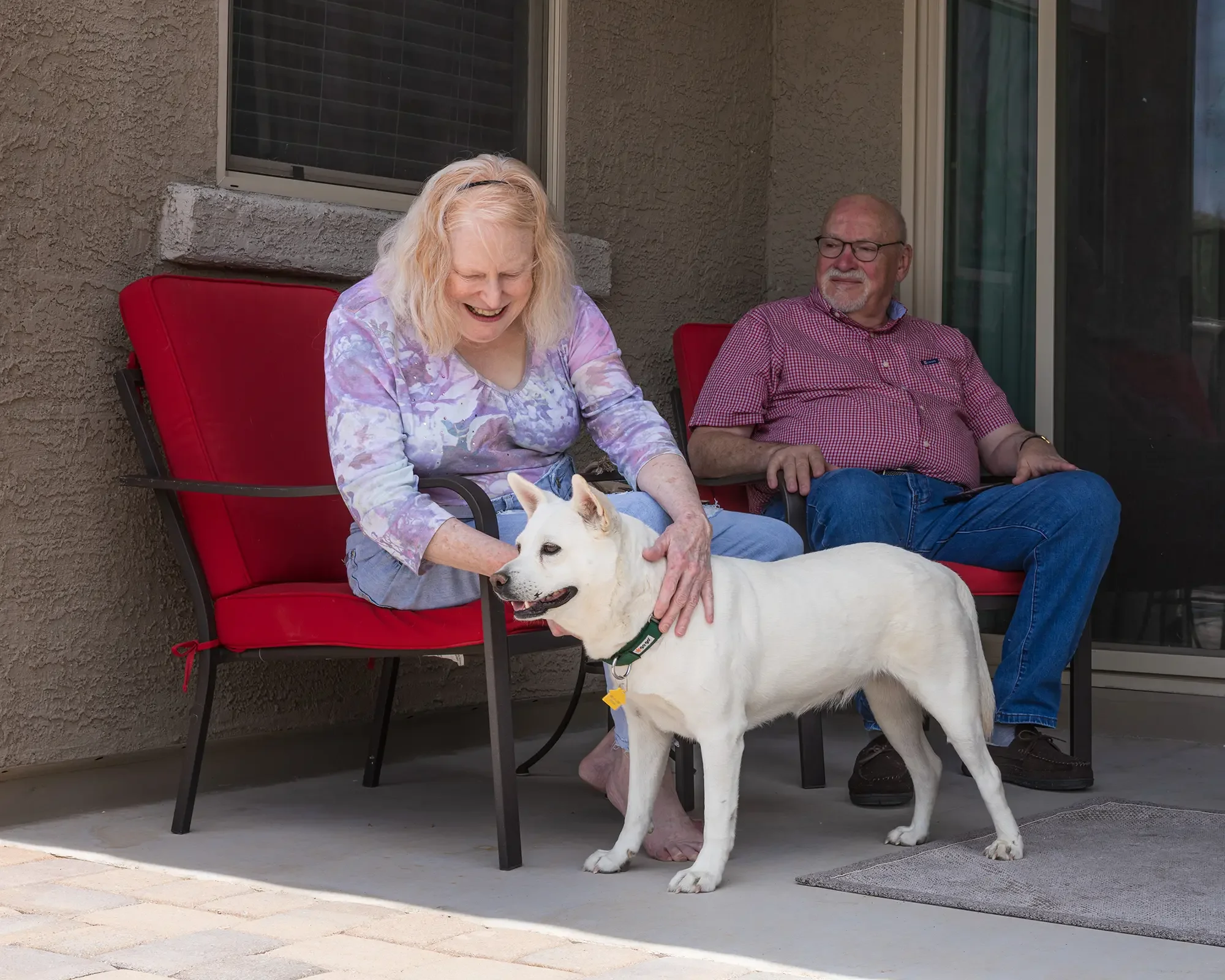 Angel enjoys her new backyard with her owners