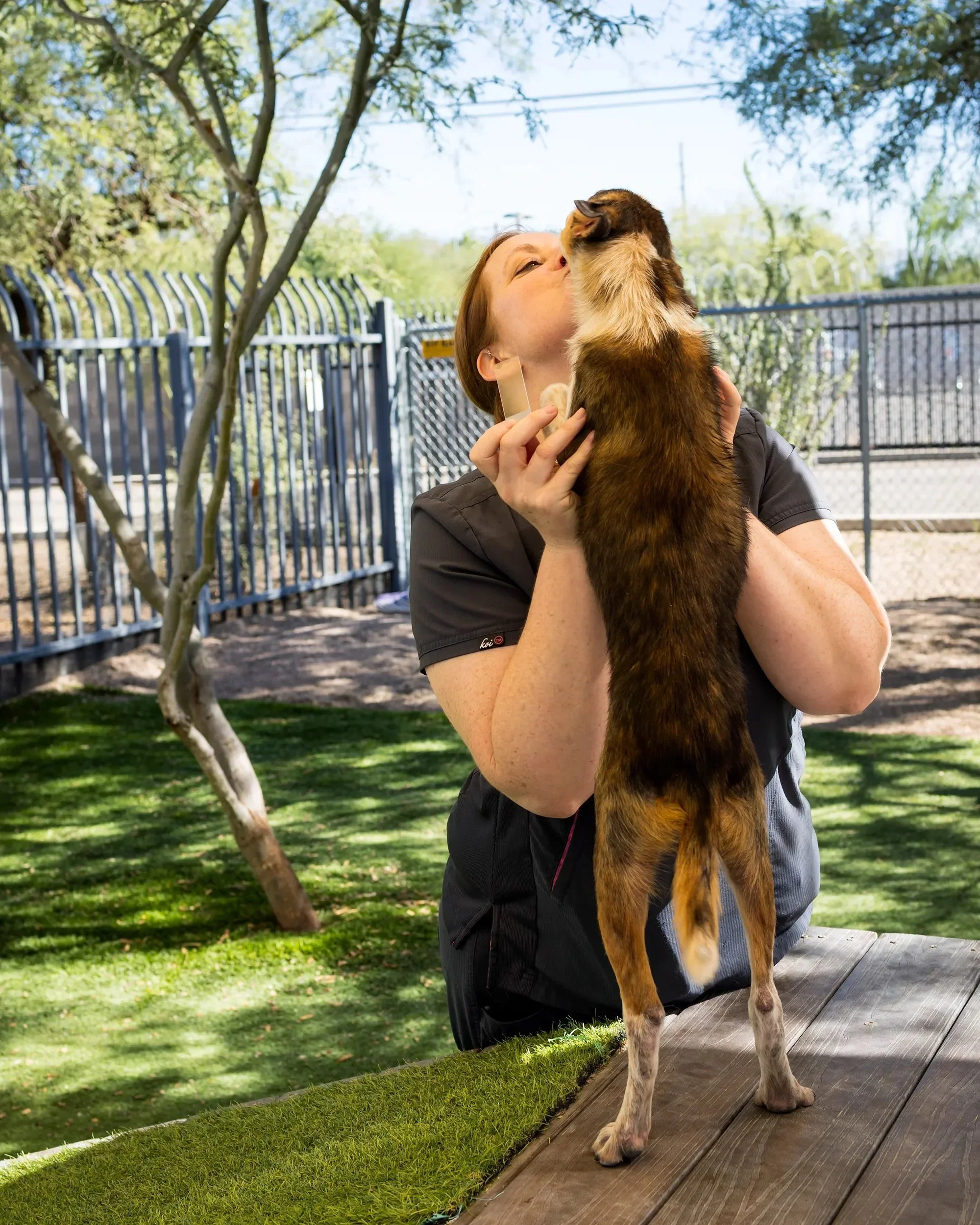 Puppy-getting-kiss-from-vet-during-outdoor-exam.webp