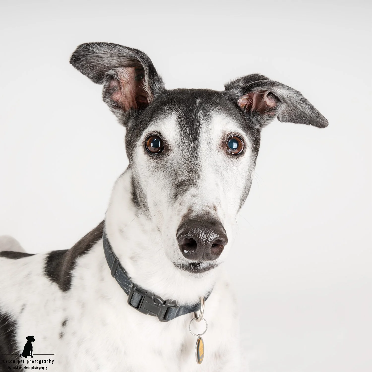From the Racetrack to the Portrait Studio: Lincoln and Sally's Signature Session