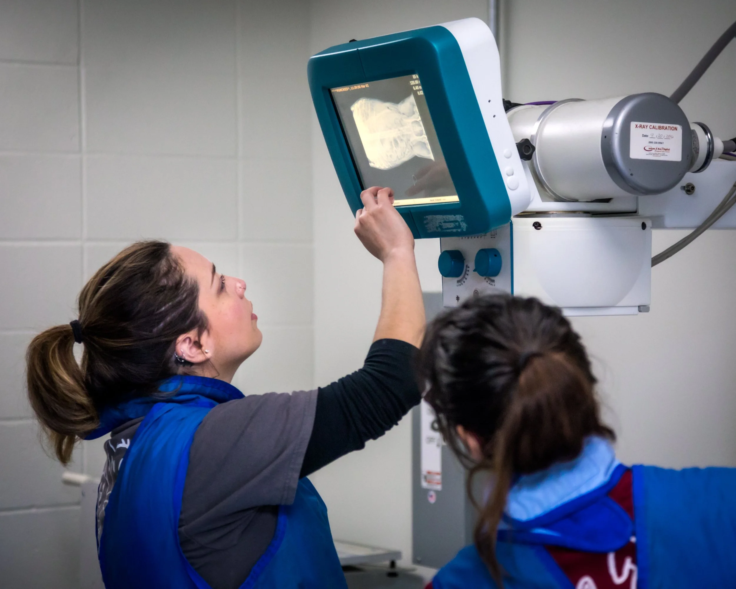 Two veterinary professionals in blue protective aprons stand in a clinical setting, pointing at and reviewing a digital X-ray scan of an animal on a medical monitor.