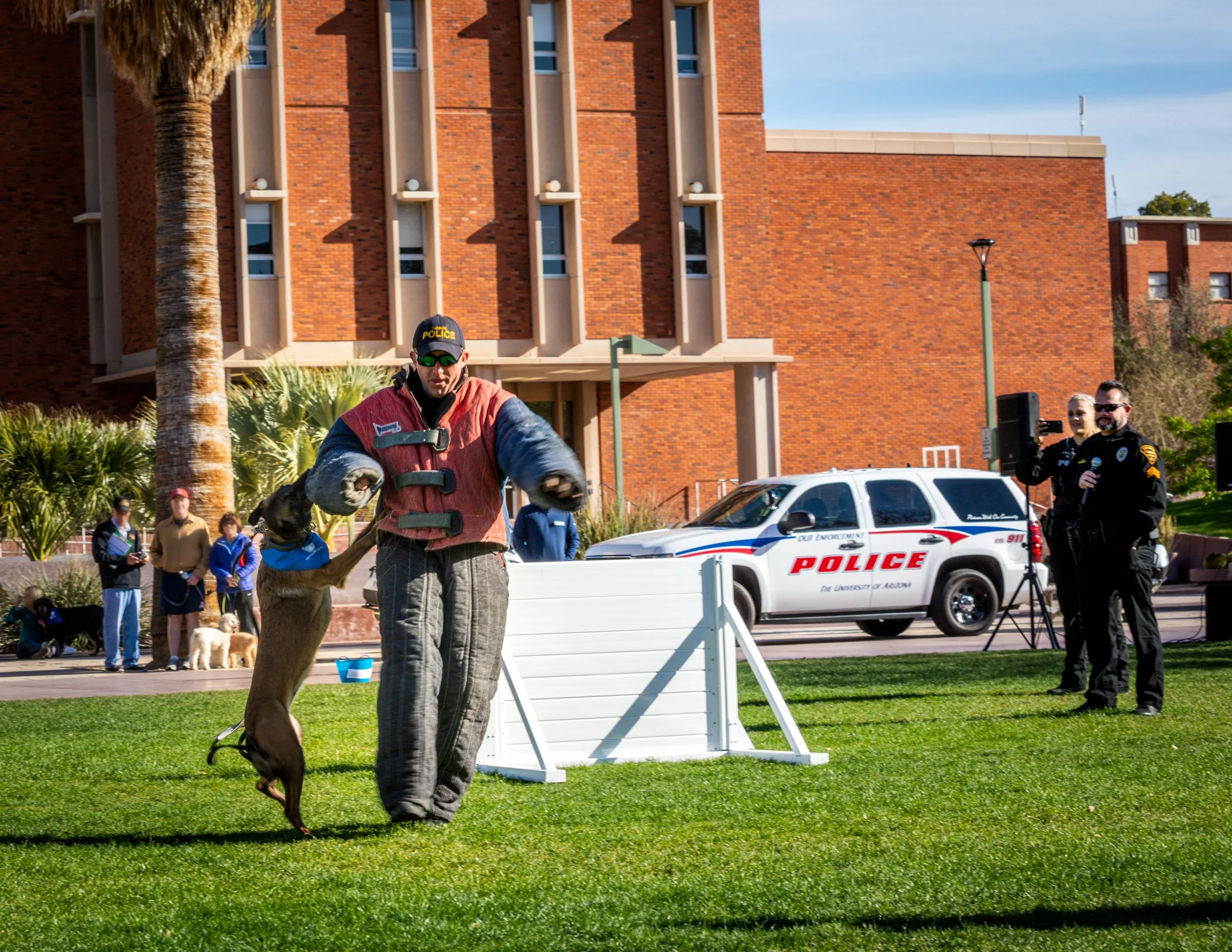 A K9 demonstration at the University of Arizona mall featuring a police dog jumping to bite a trainer's padded protective sleeve during a public training event.
