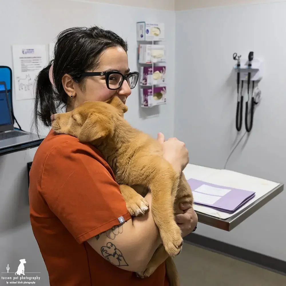 puppy-snuggles-vet-tech-at-HSSAZ-clinic-exam-room.webp