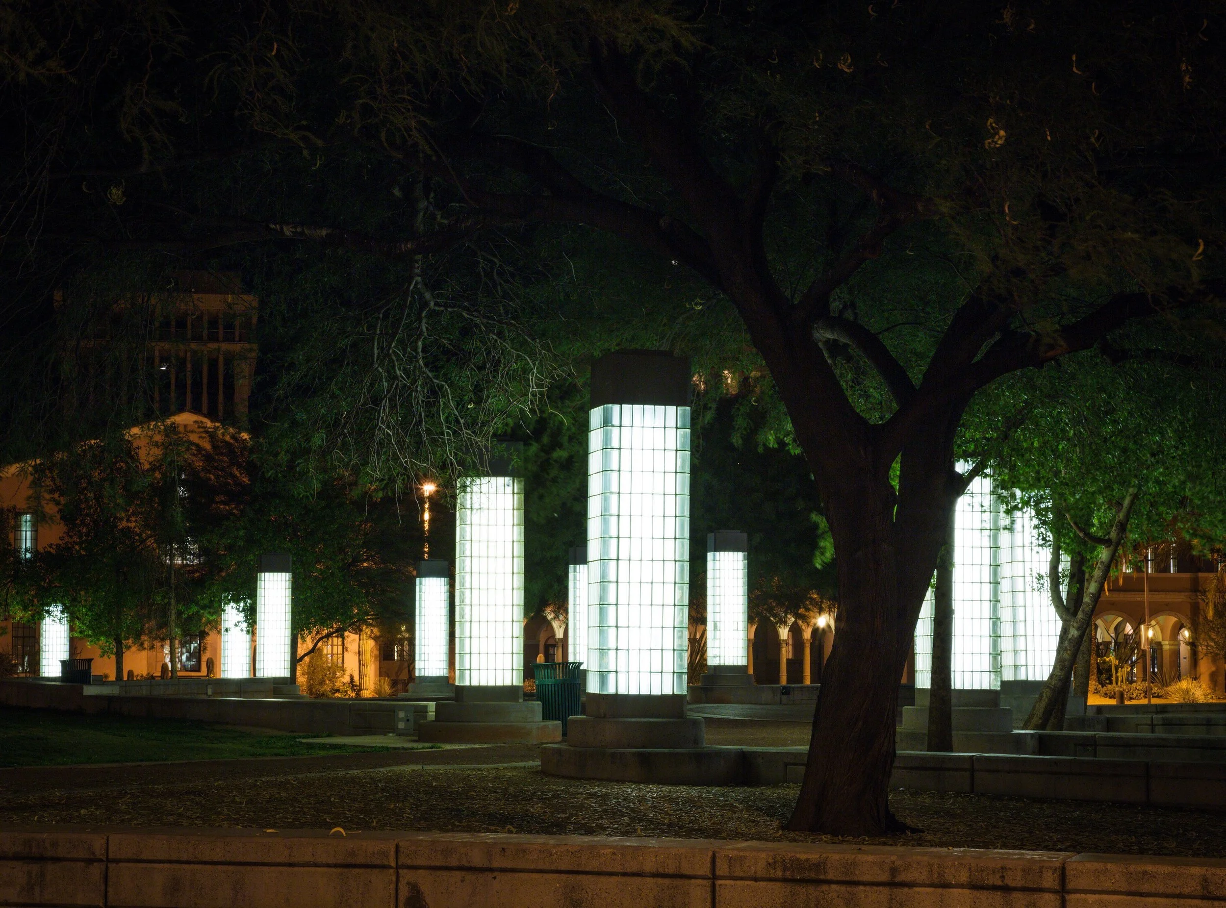 Night view of illuminated modern light pillars in a park outside the Joel D Valdez Main Library in Tucson with trees and city buildings in the background.