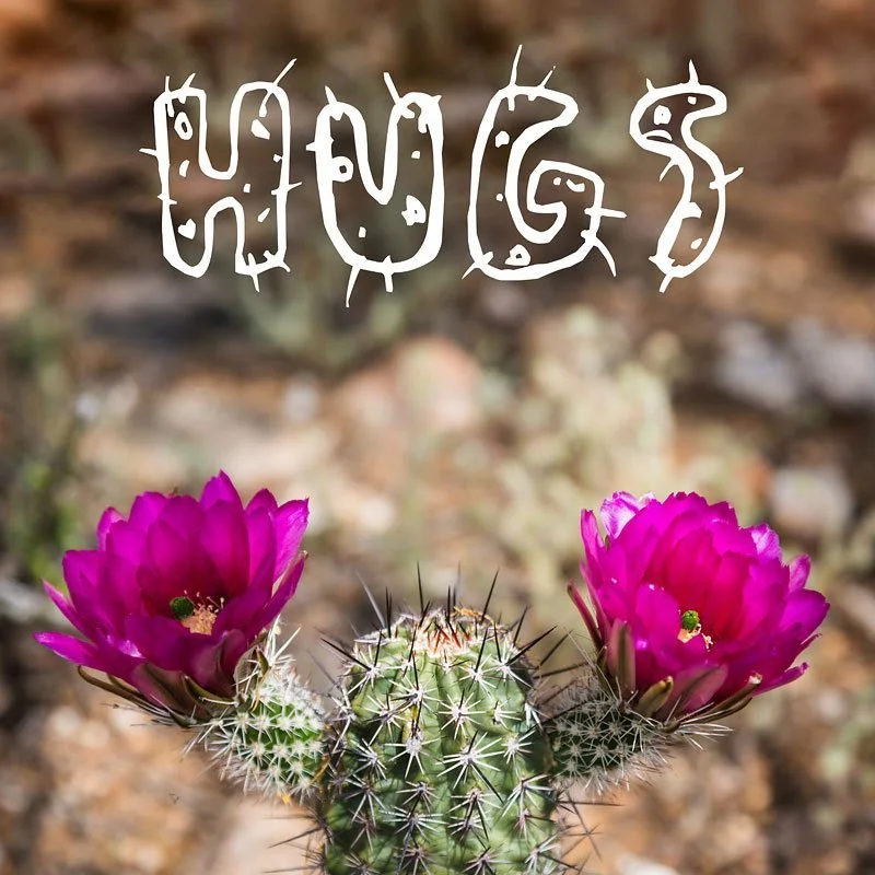 Hugs hedgehog cactus humor print - funny Tucson desert gift with blooming cactus and cactus font text from Catalina Foothills Arizona