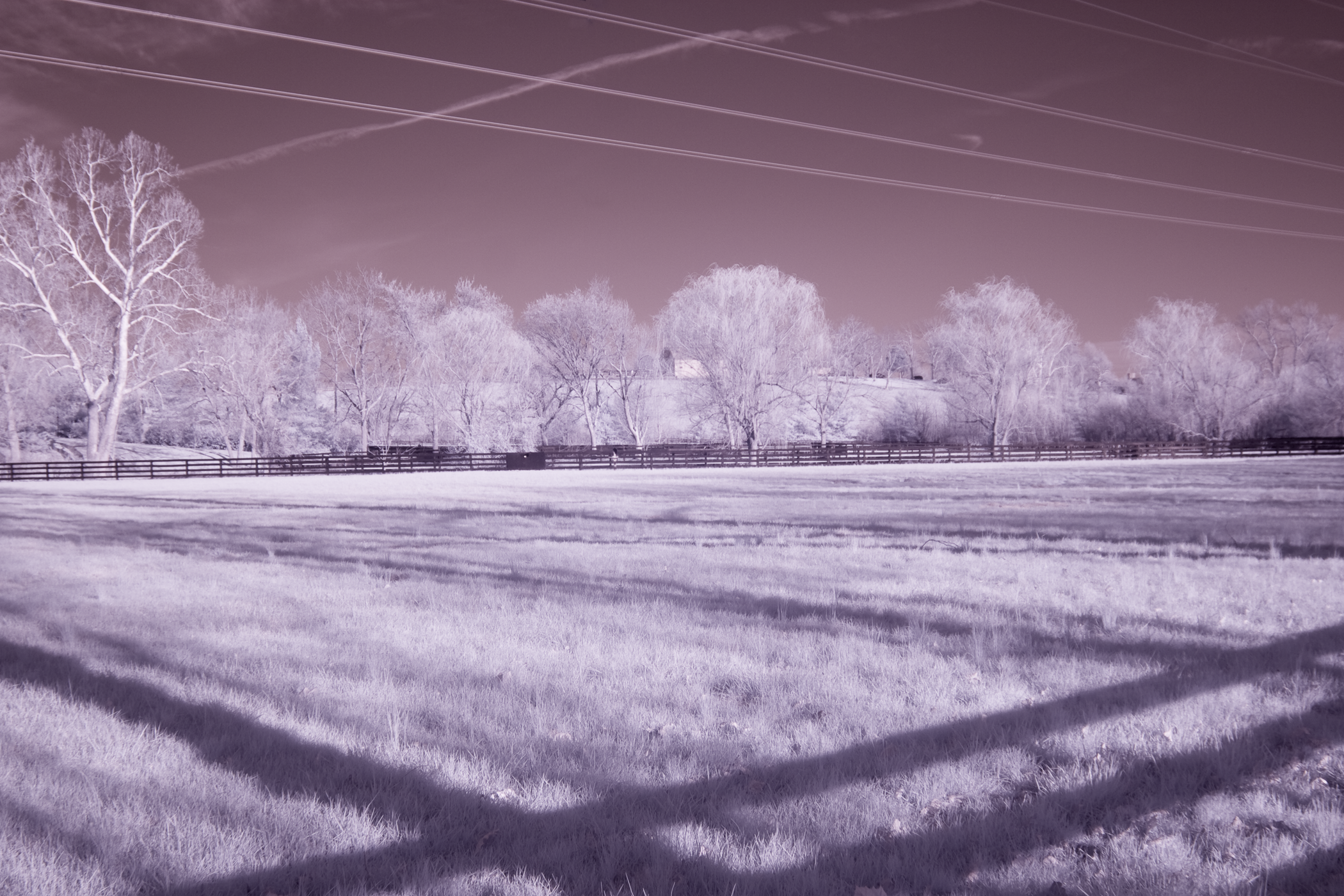 Infrared photograph of a Kentucky horse farm landscape with trees, a fenced field, a hill with a building in the background, and visible contrails in the sky.