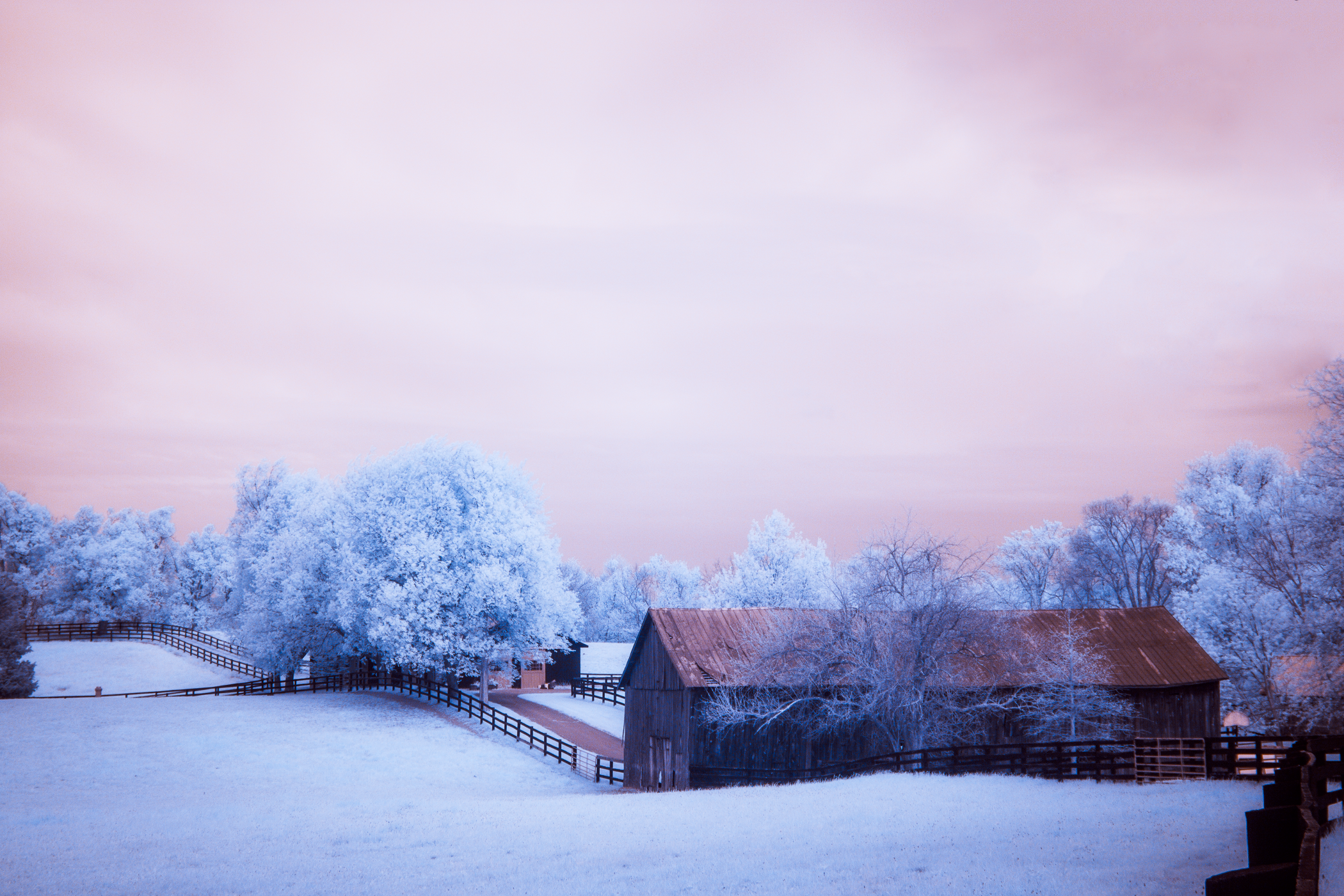 Winter landscape with snow-covered trees and a rustic barn, pink and purple sky in the background.
