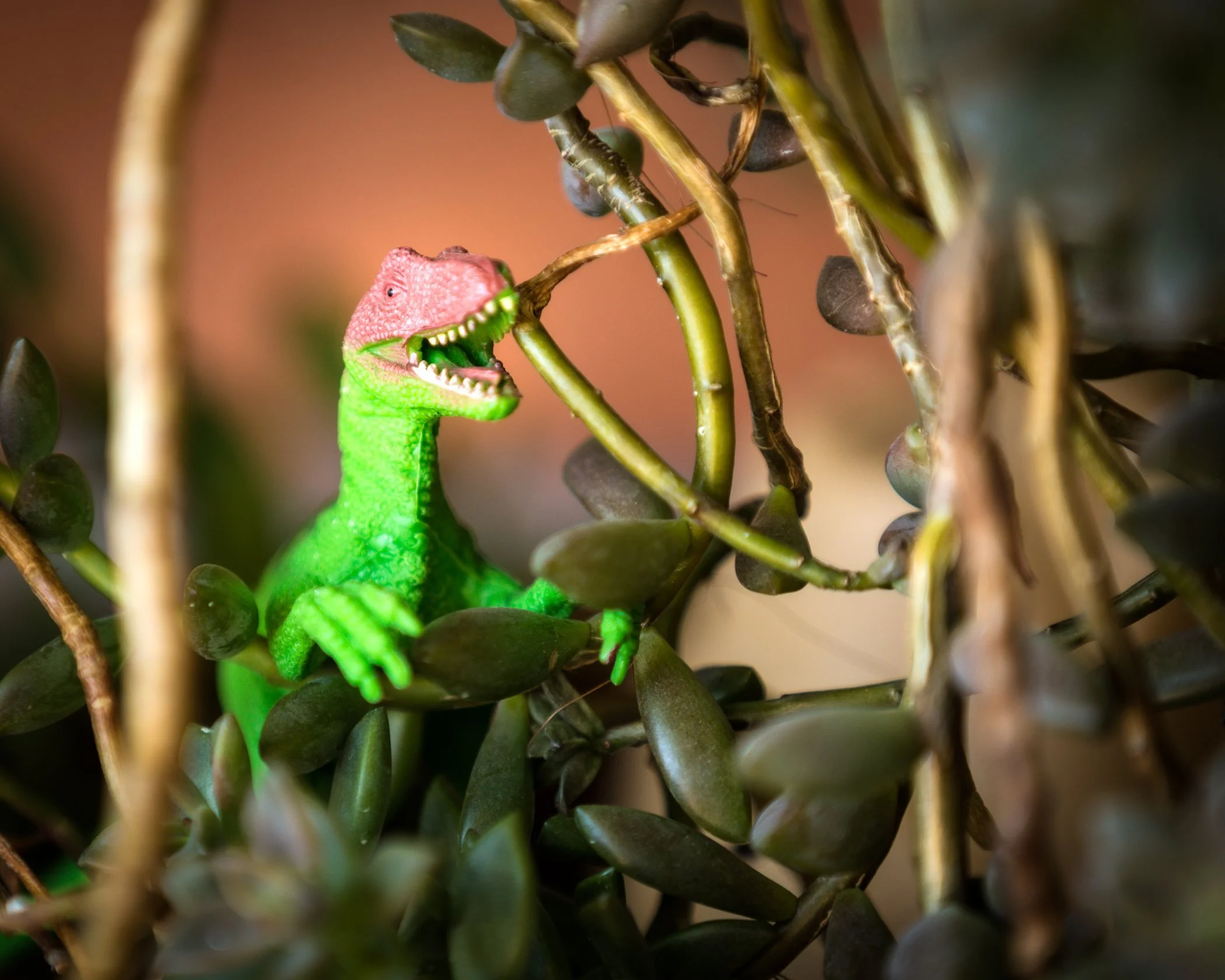 Green T-Rex in jade plant stems