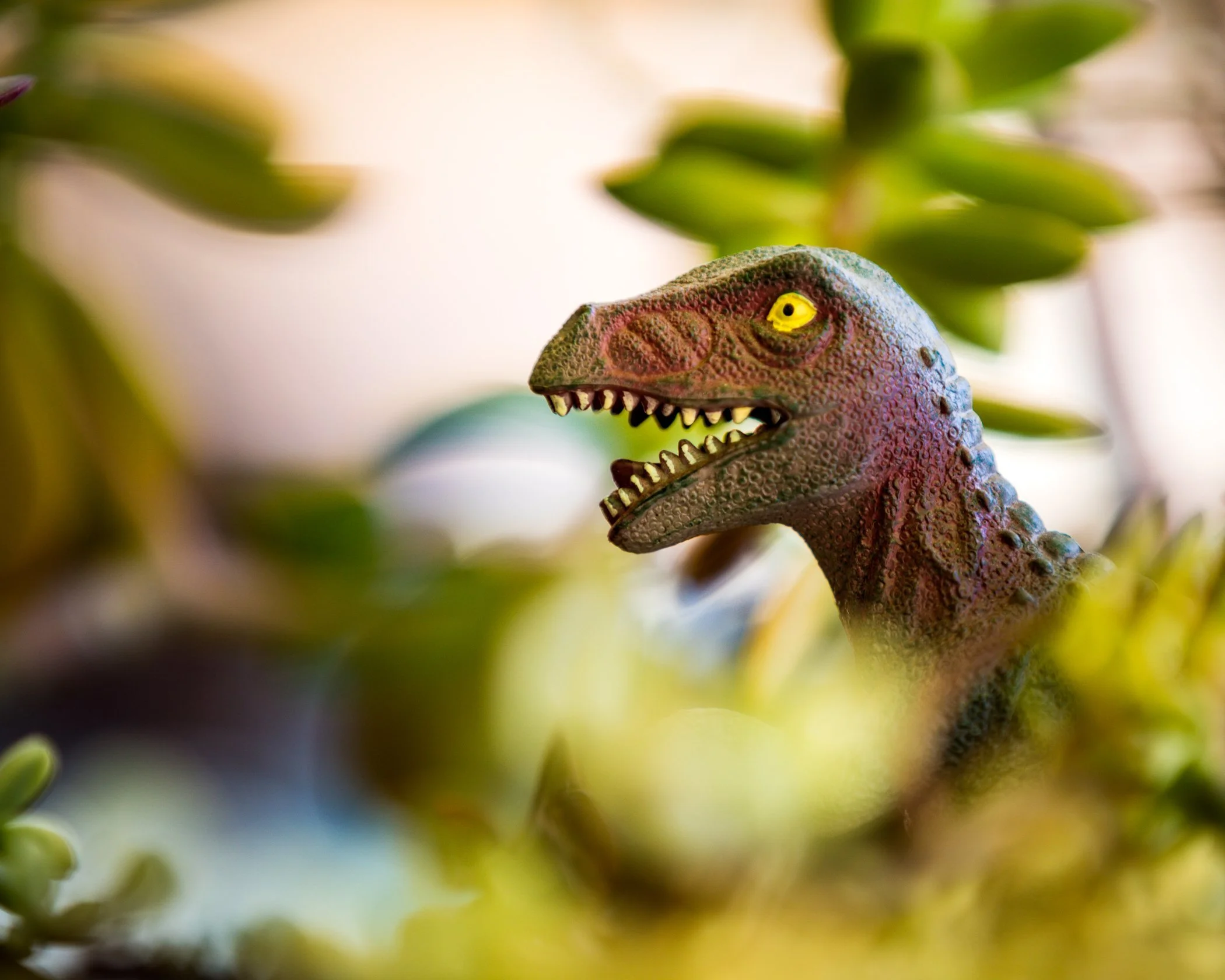Close-up T-Rex portrait through succulent foliage, golden eyes