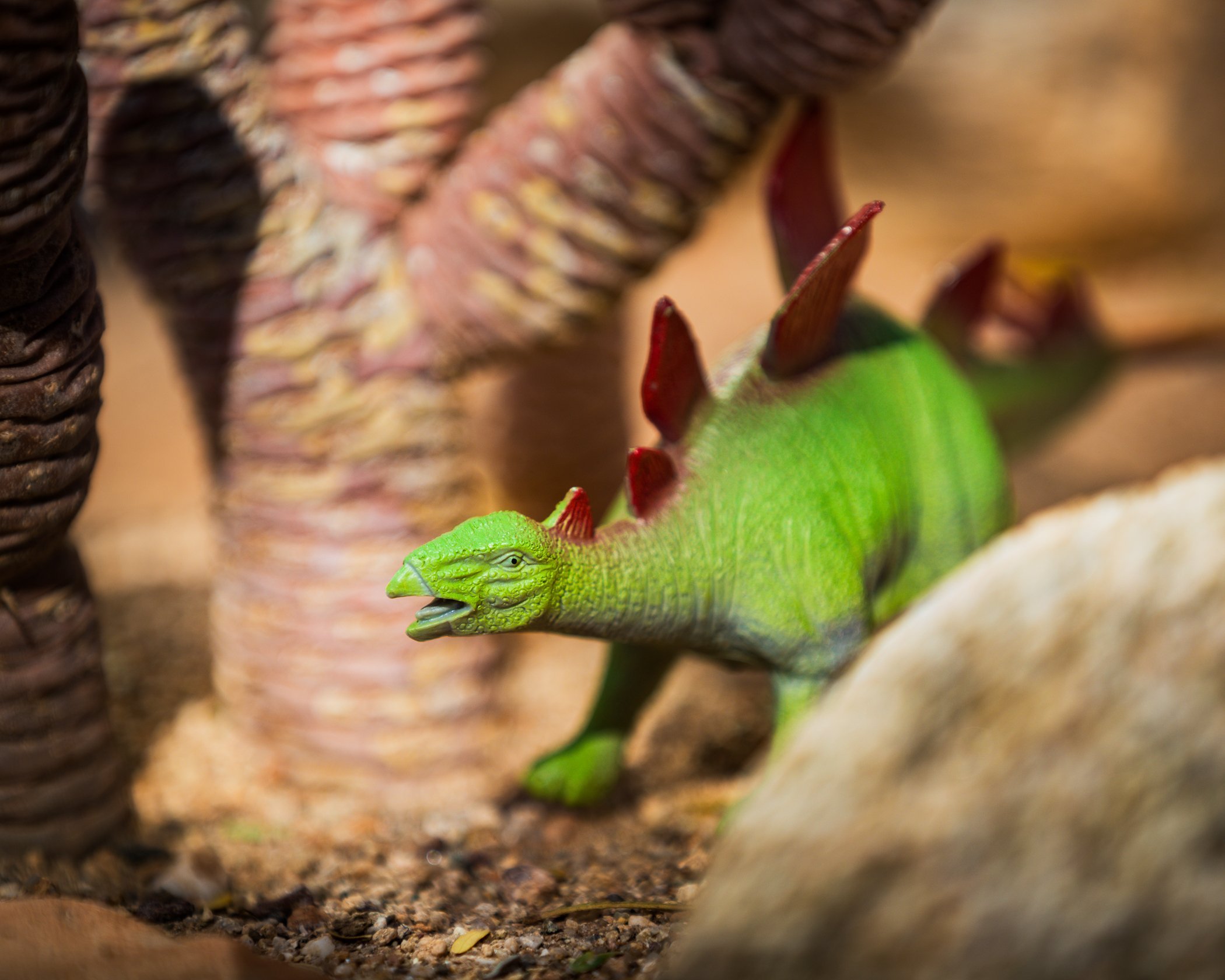 Green Stegosaurus navigating between large tree trunk legs and rocks