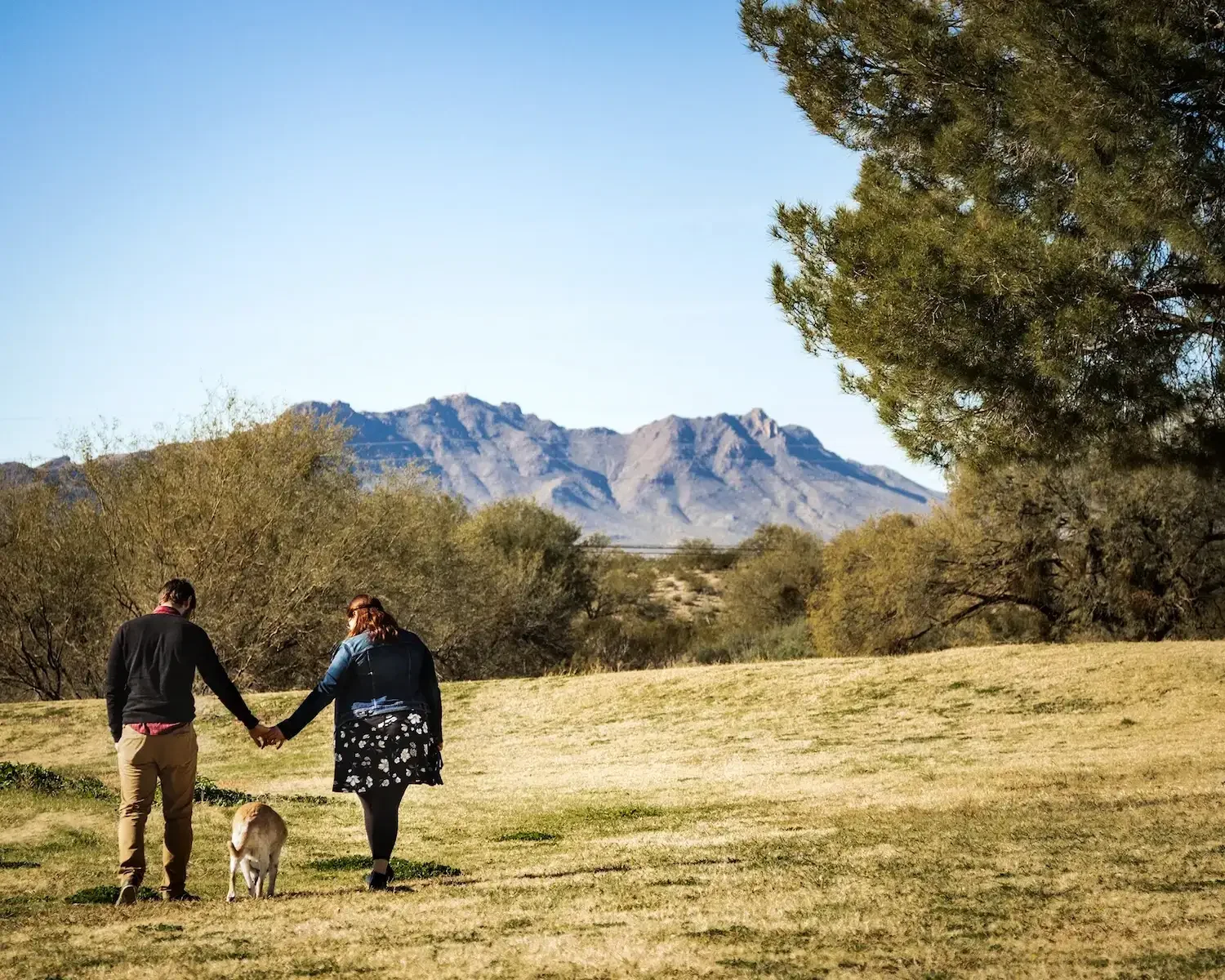  A couple walking toward the Catalina Mountains with their senior dog at Christopher Columbus Park in Tucson during a final-day tribute session 