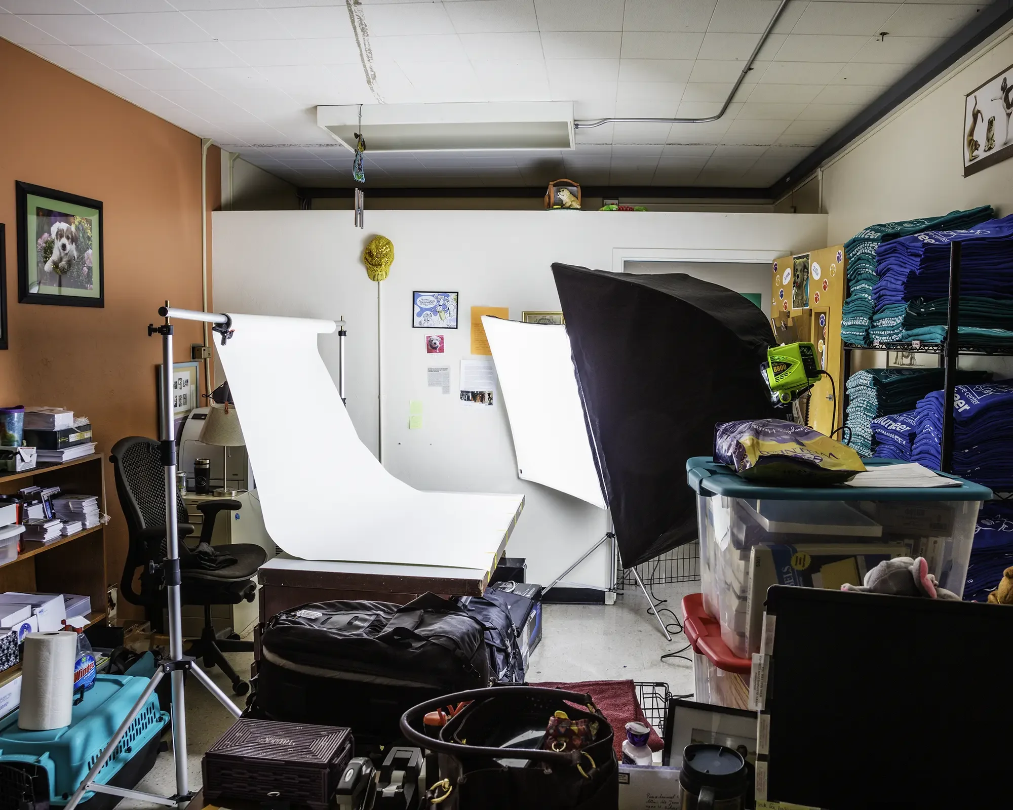Behind the Scenes Pet Photography Setup at Pima Animal Care Centerr
